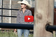 11 Videos
