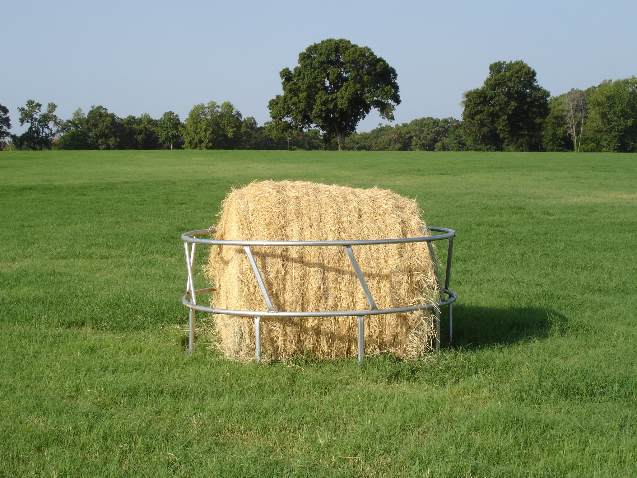 Cattle Feeder RBFEG.JPG