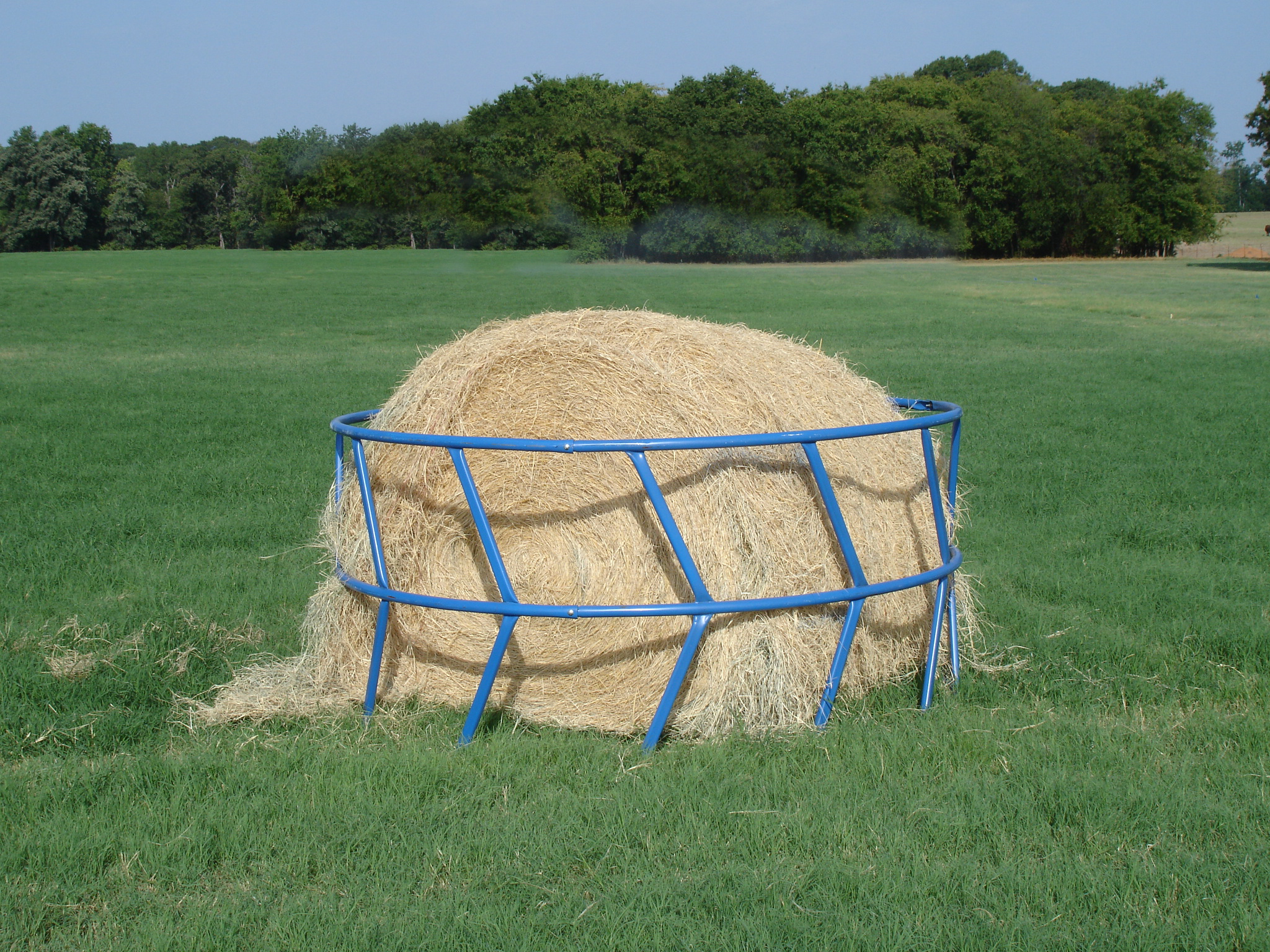 Cattle Feeder RBFM.JPG