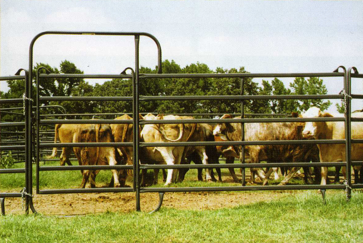 Premier Walk Thru PWT12GY 01.jpg