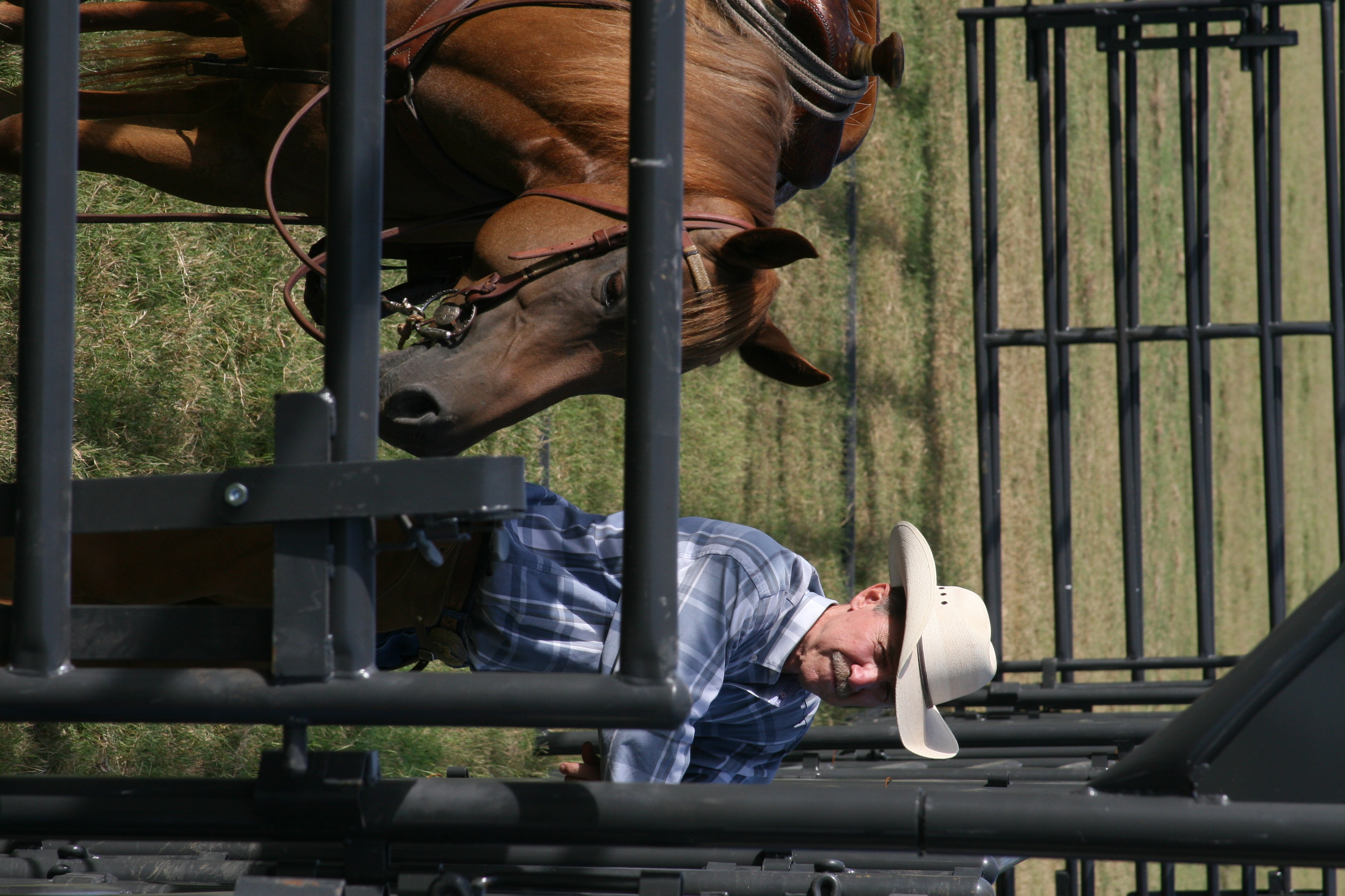 Rough Stock RSAP 01.JPG