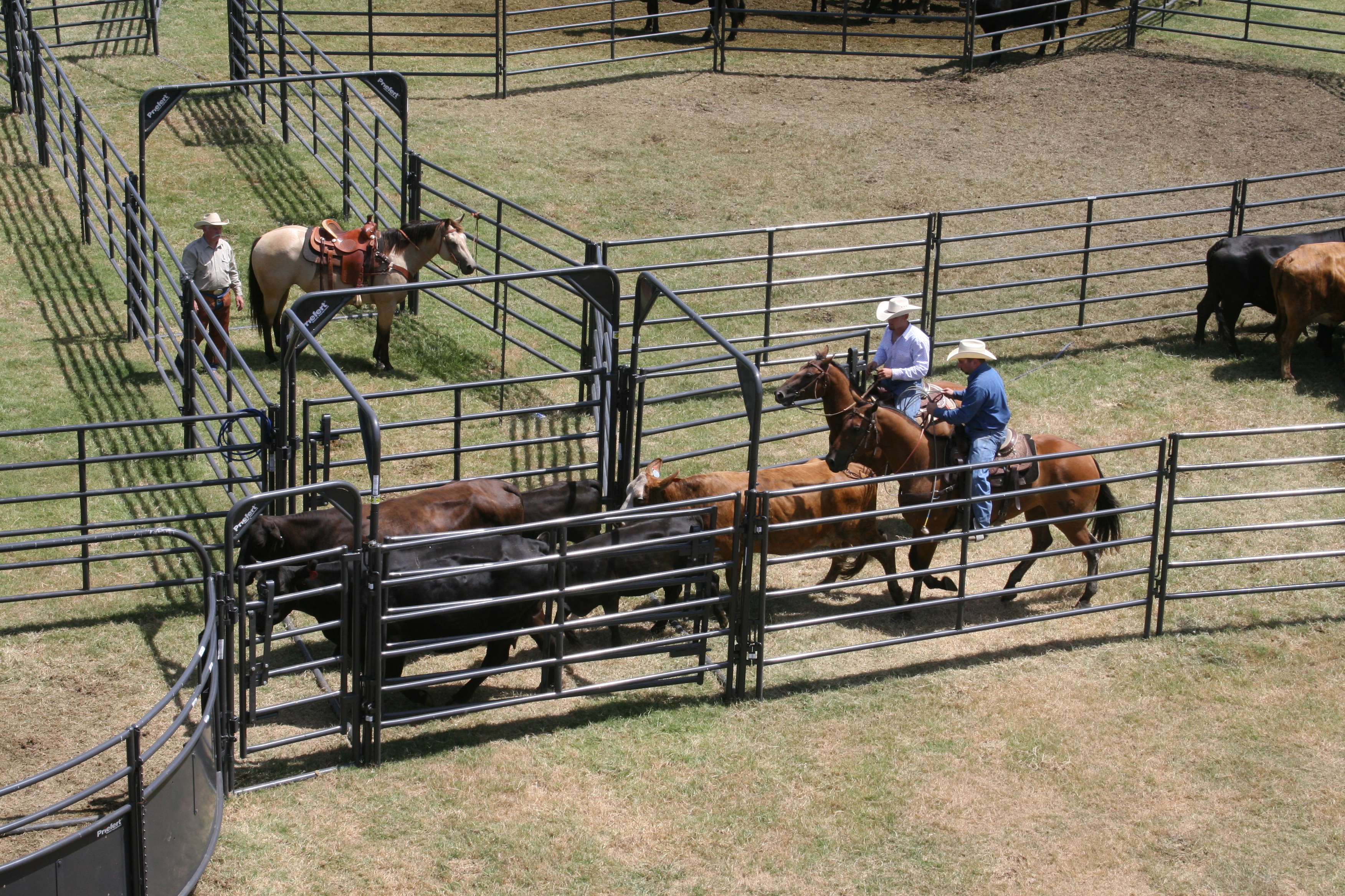 Rough Stock RSAP 08.JPG