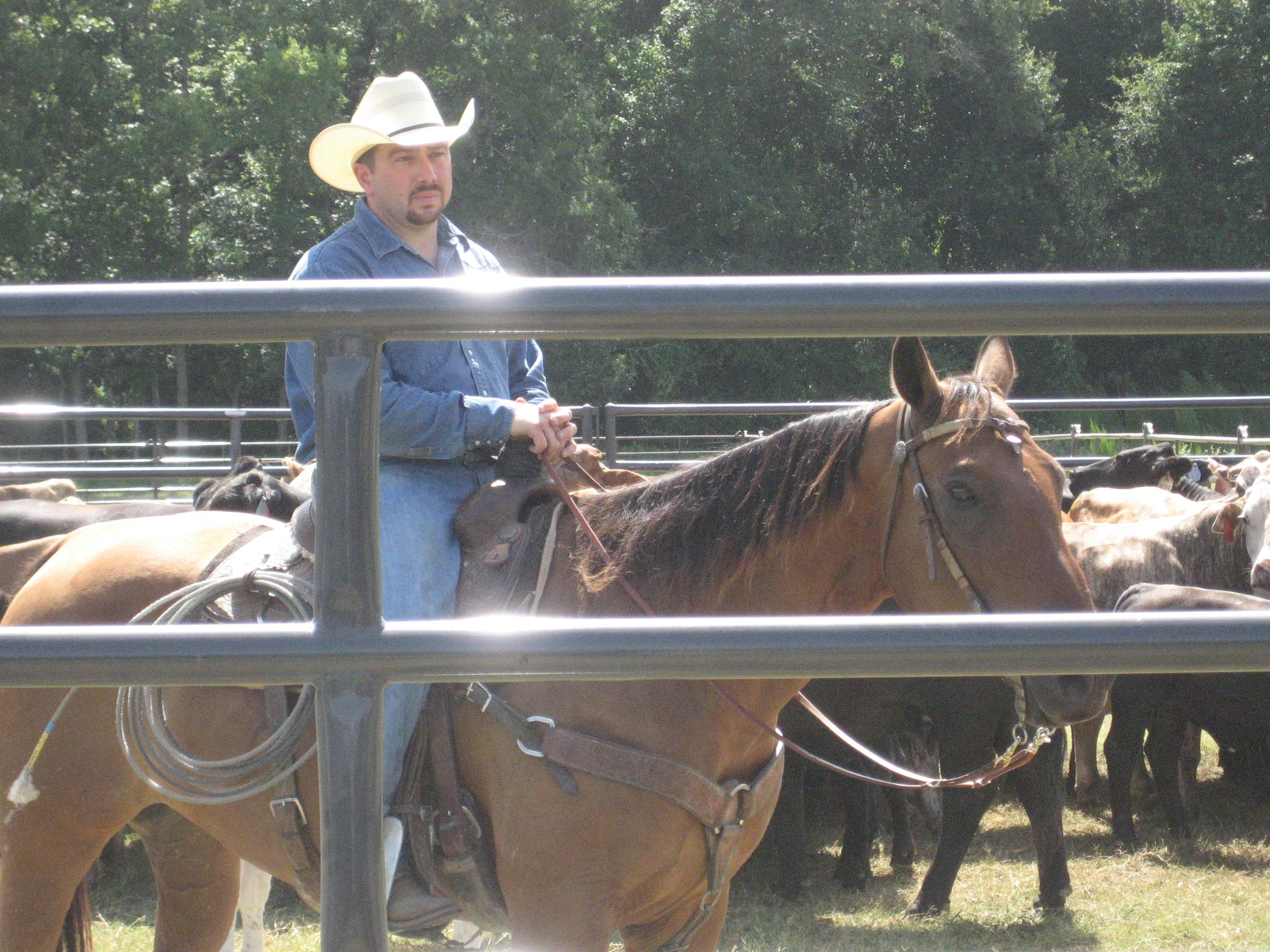 Rough Stock RSP 01.jpg