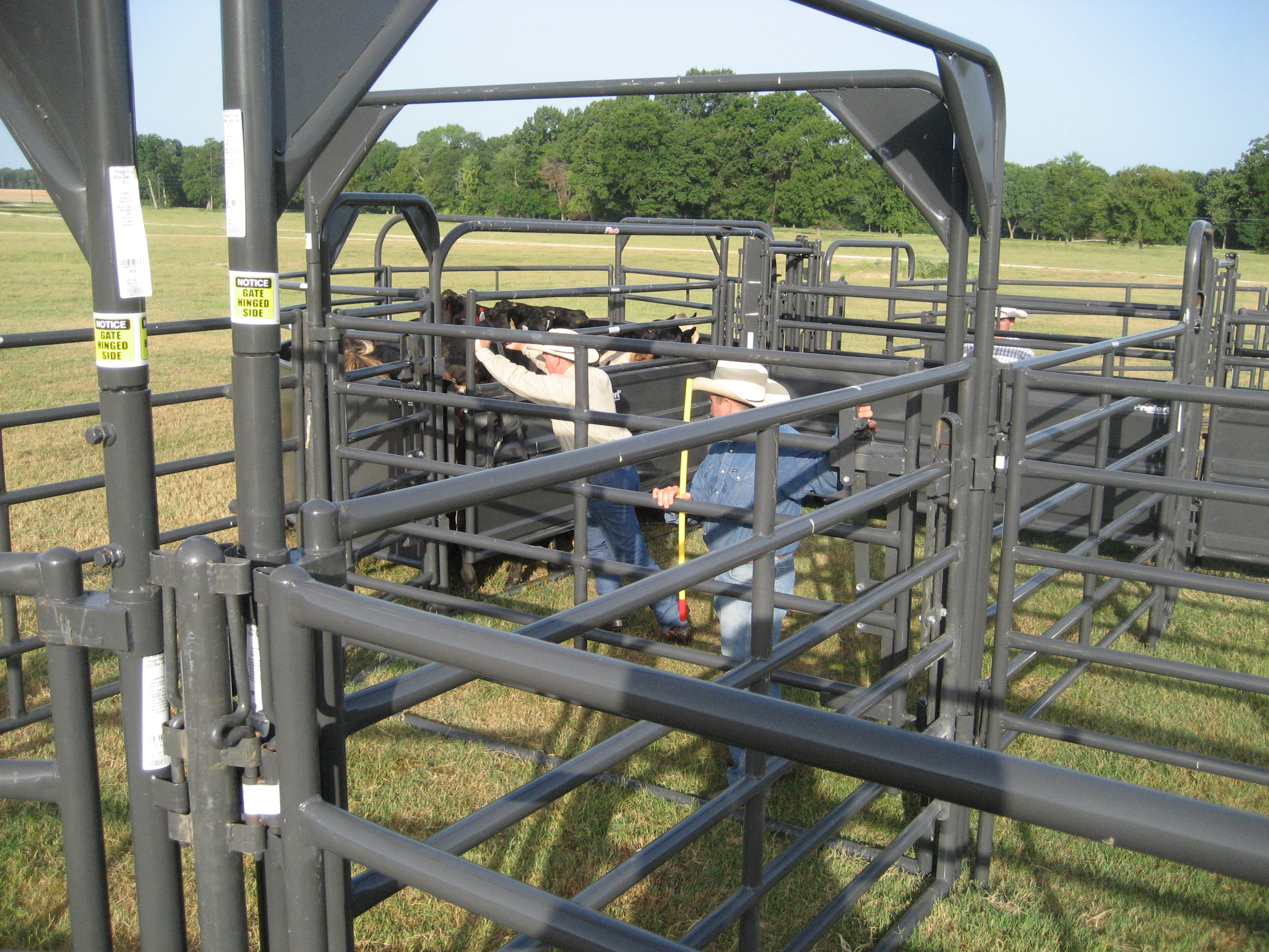 Rough Stock RSP 04.jpg