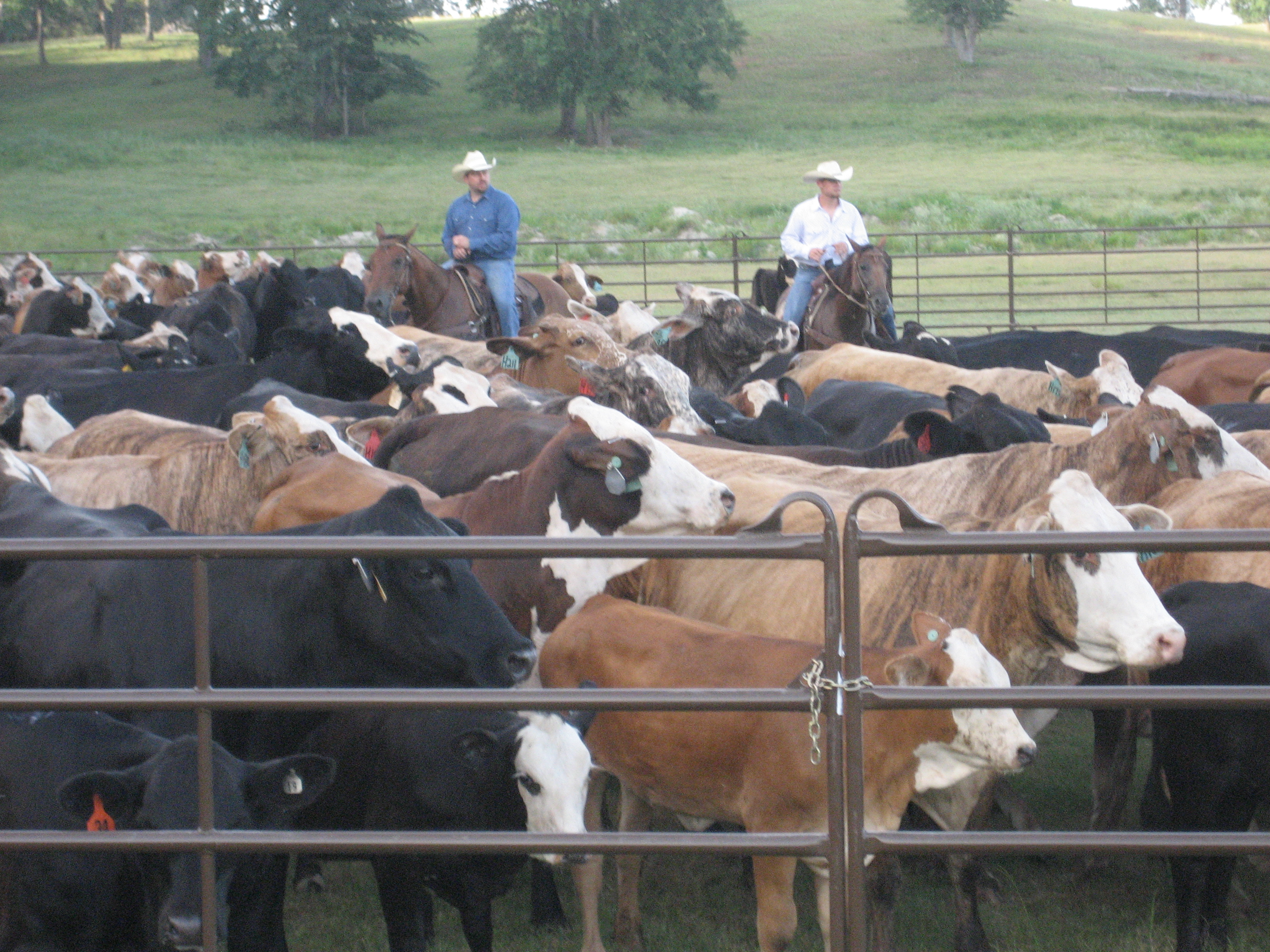 Utility Panel UP12 01.jpg