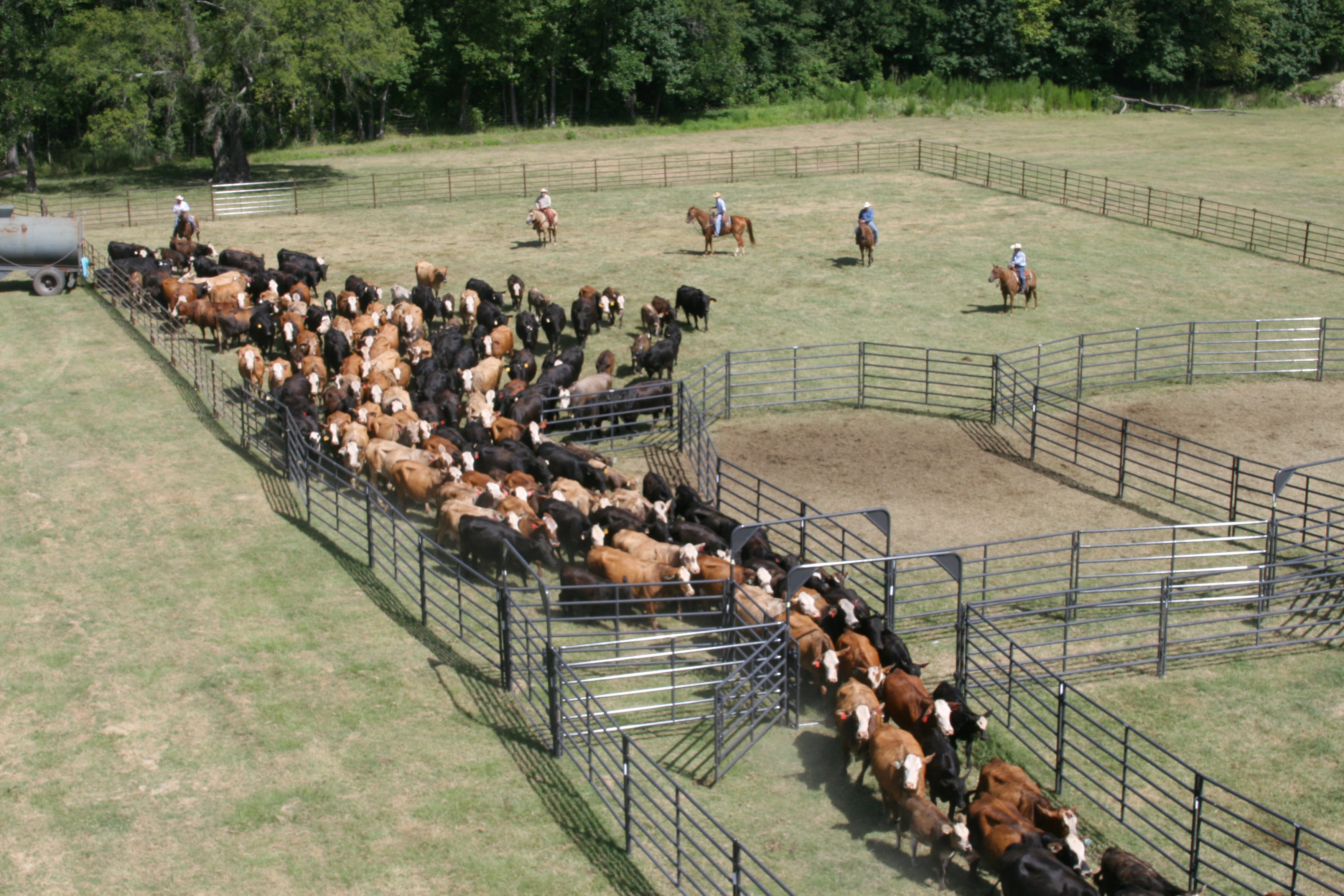 Rough Stock Corral RSOS 5 03.jpg