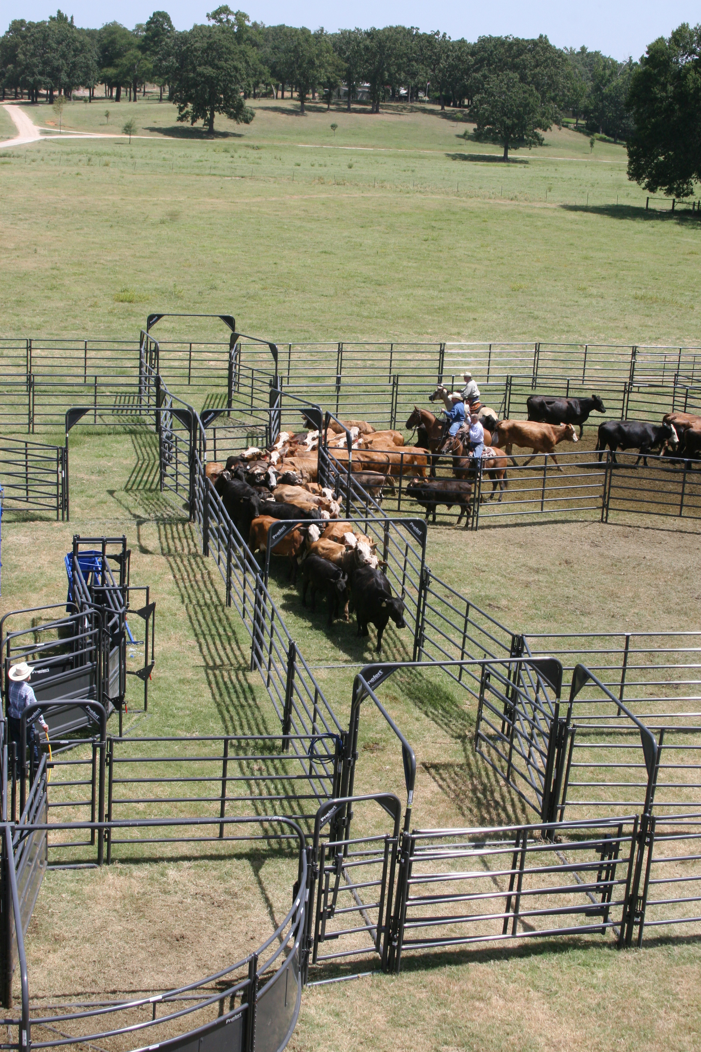 Rough Stock Corral RSOS 5 04.jpg