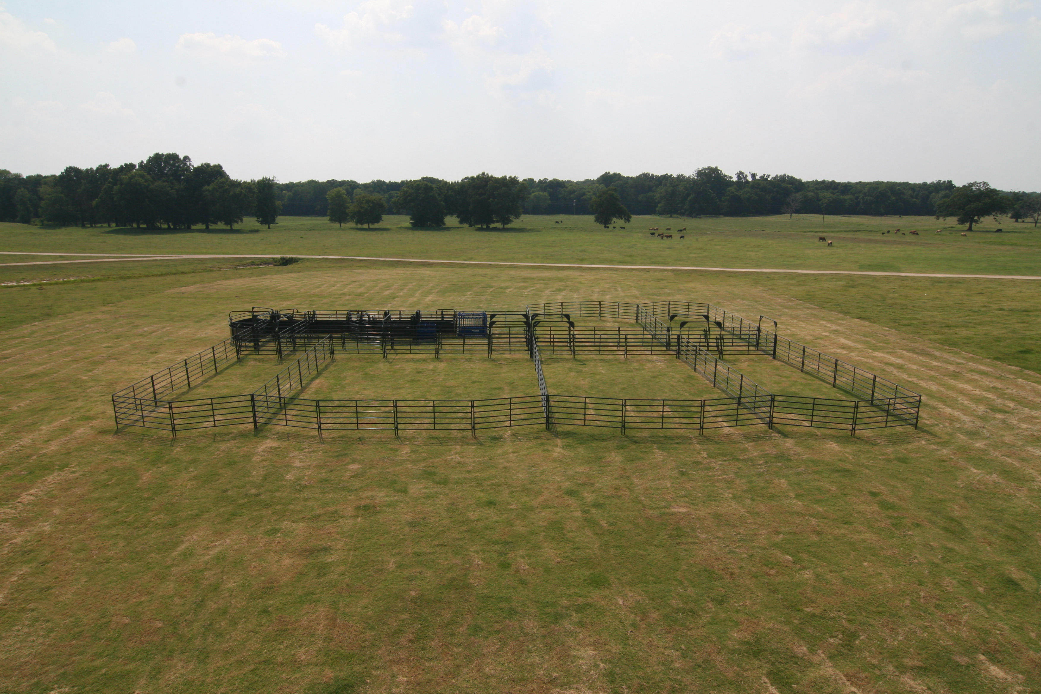 Solid Corral SSOS 5 03.jpg