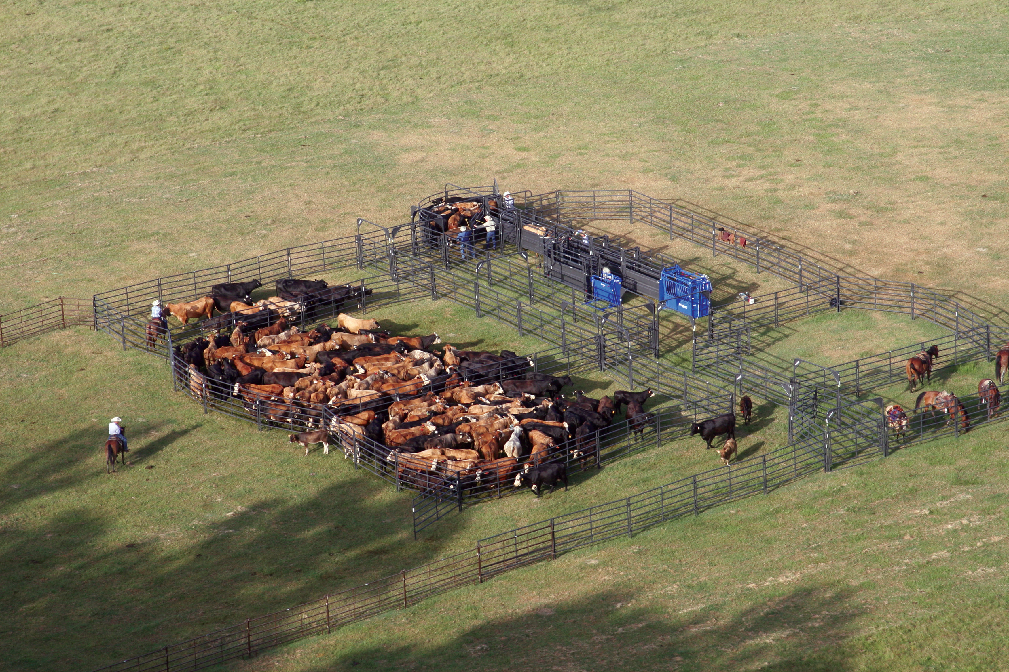 Solid Sweep Corral SS 5 02.jpg