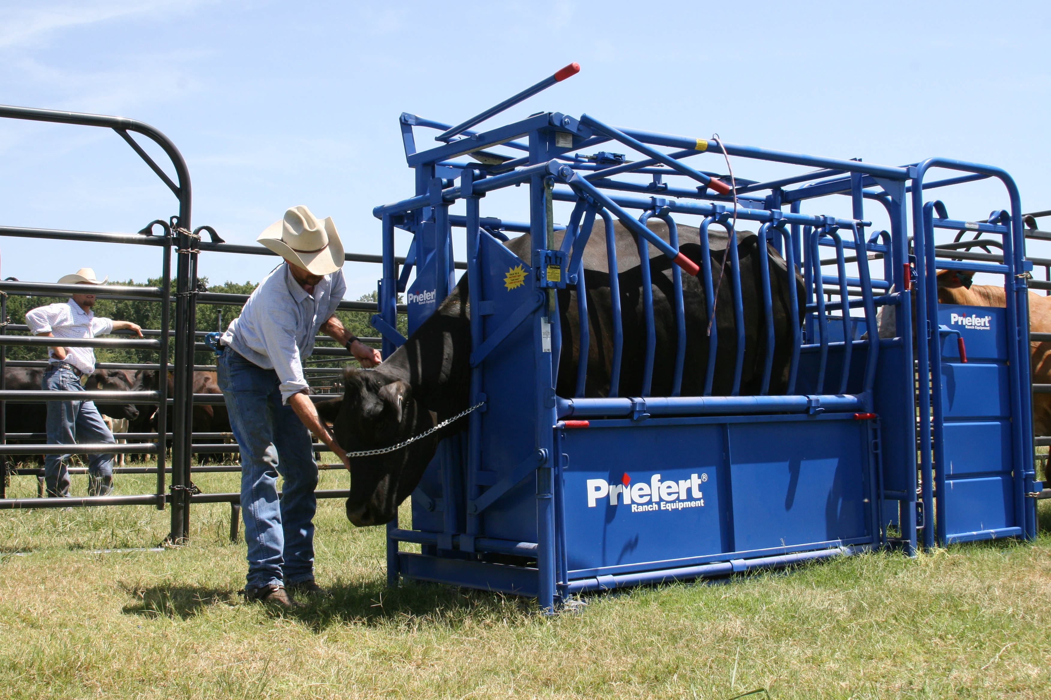 Squeeze Chute S01 13.JPG