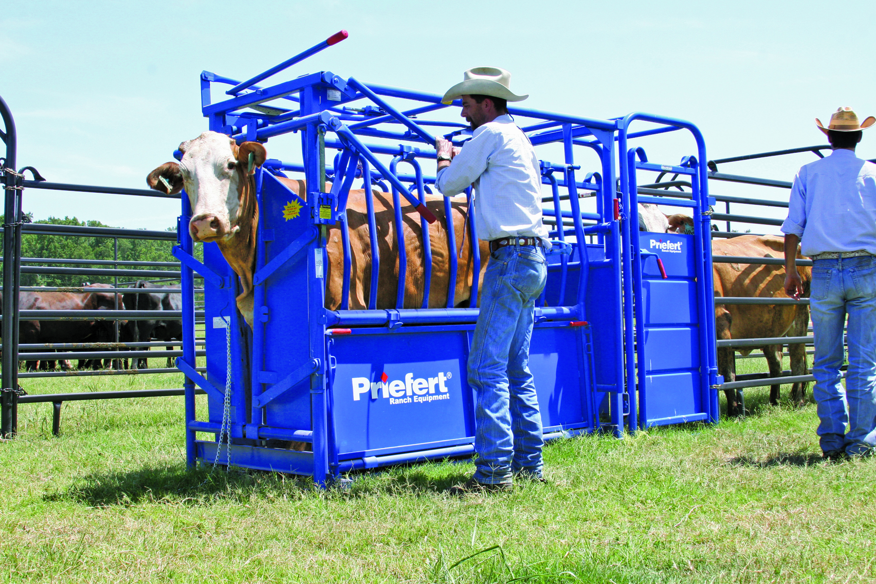 Squeeze Chute S01 14.JPG