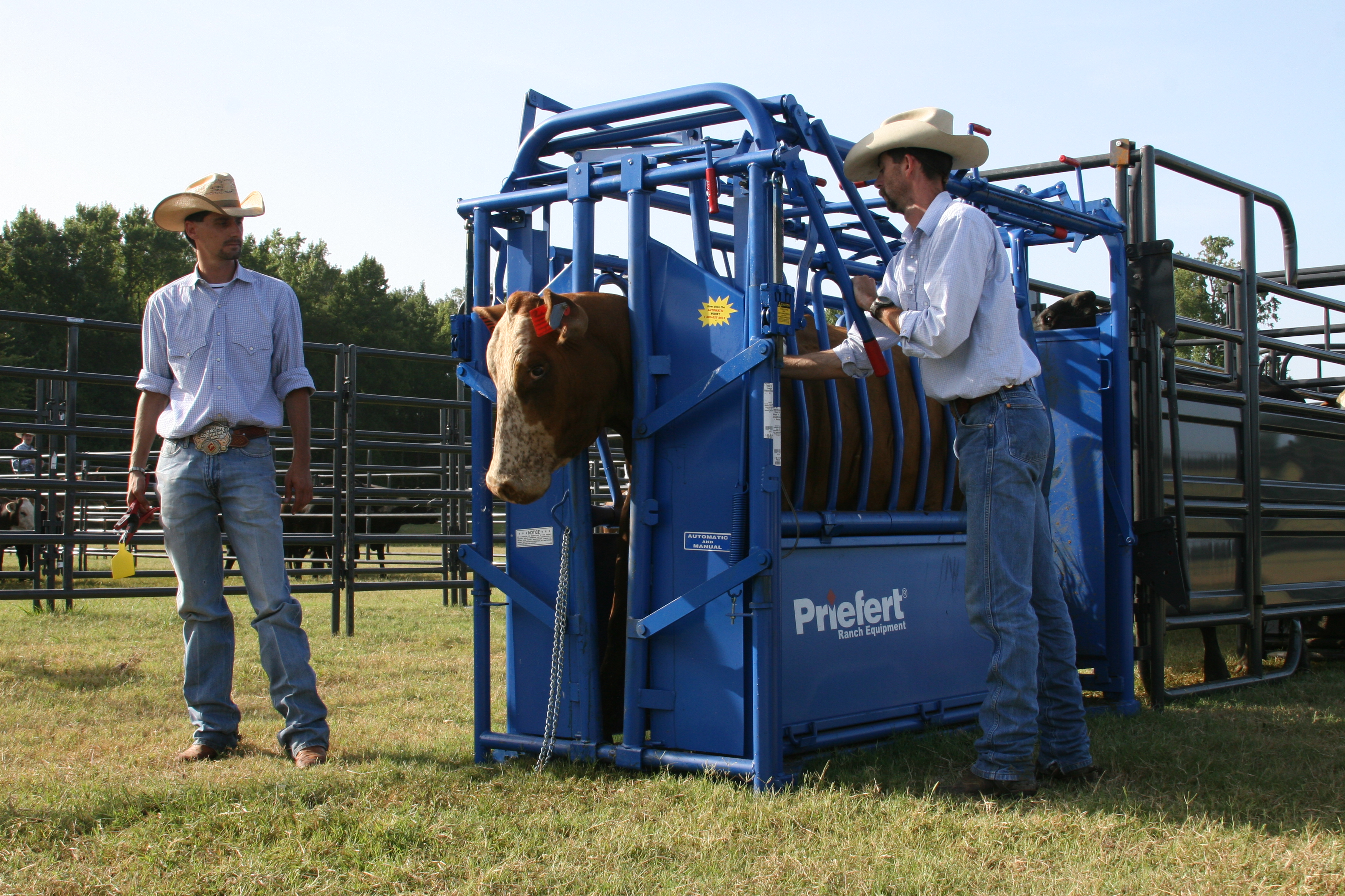 Squeeze Chute S04 03.JPG