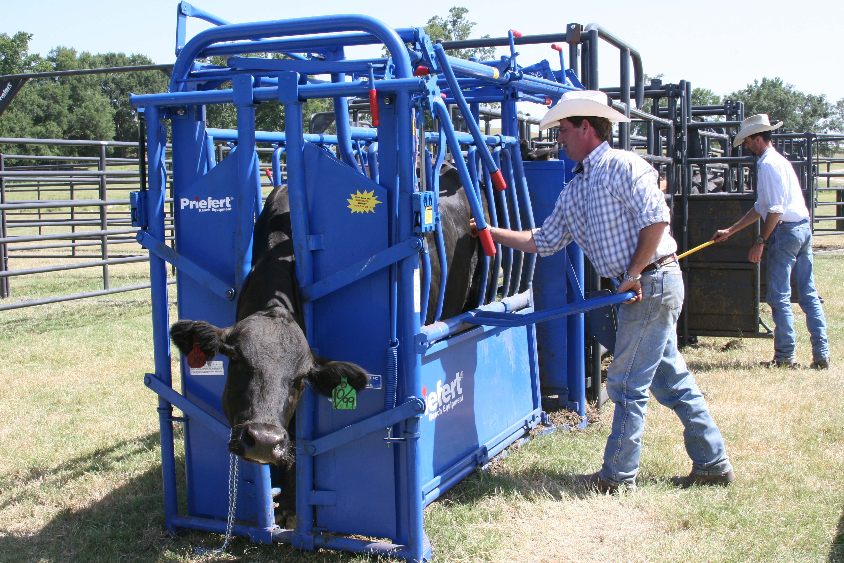 Squeeze Chute S04 04.JPG