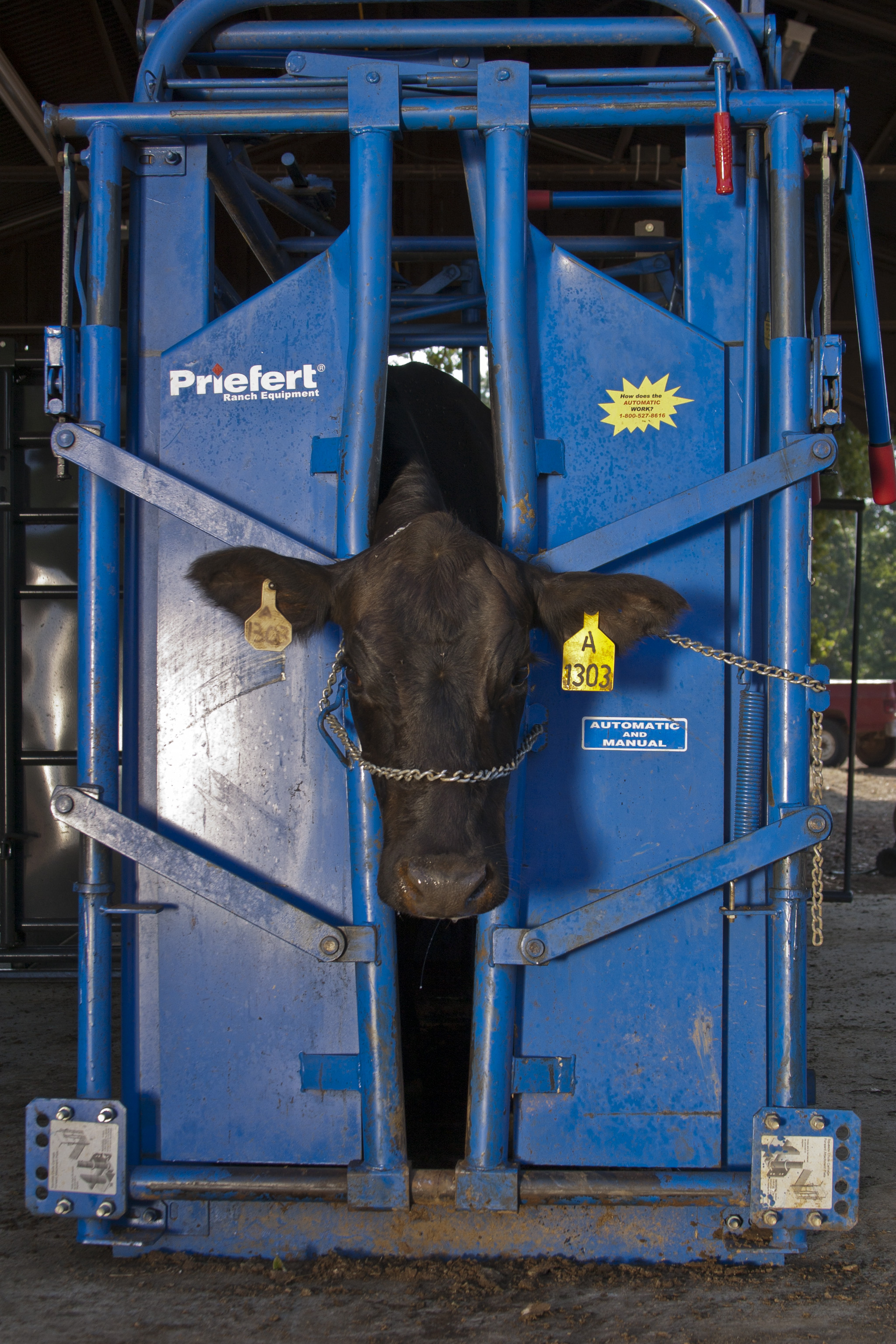 Squeeze Chute S04 13.jpg