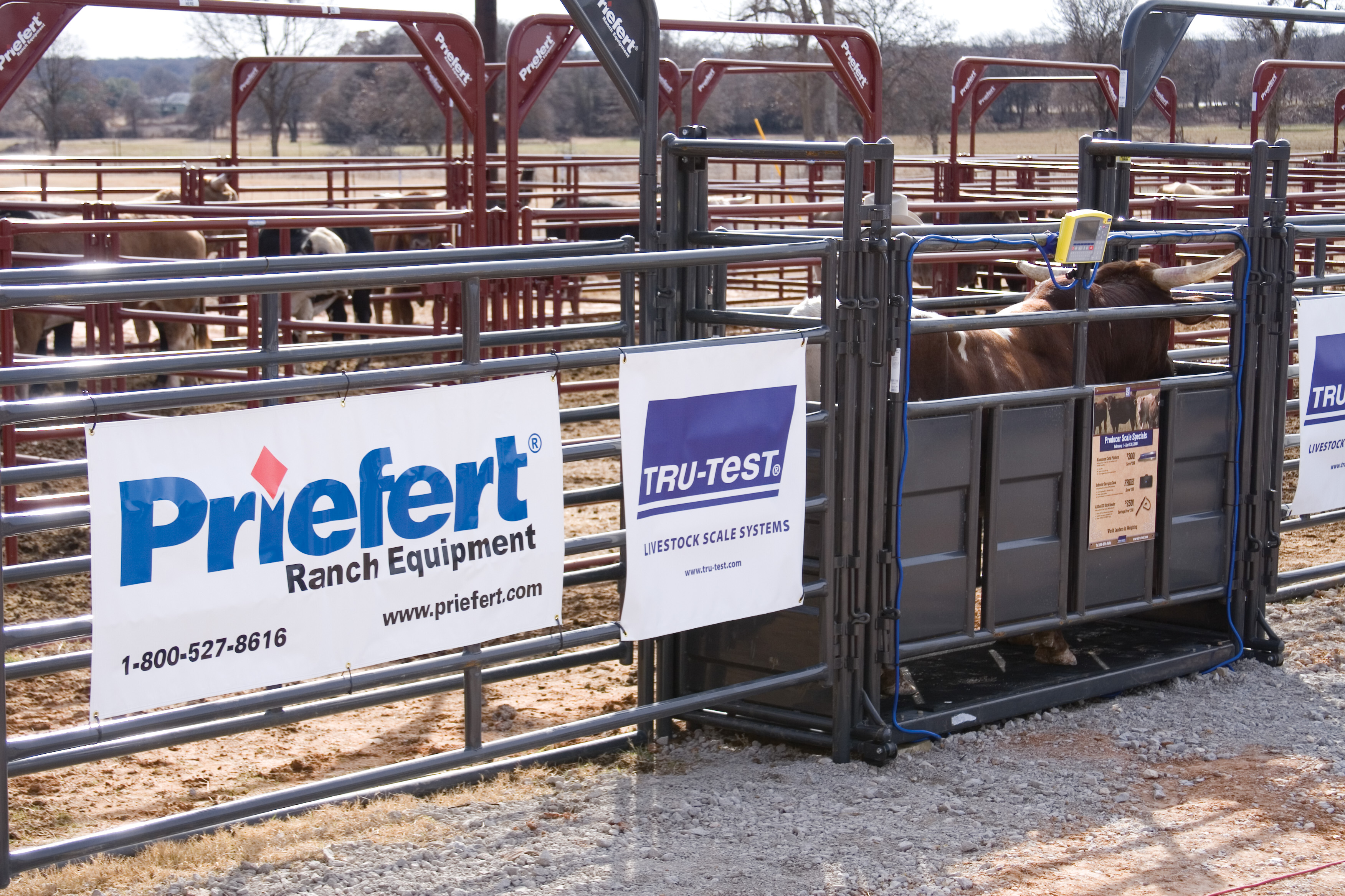 TruTest Lifestyle 05 Tallman.jpg