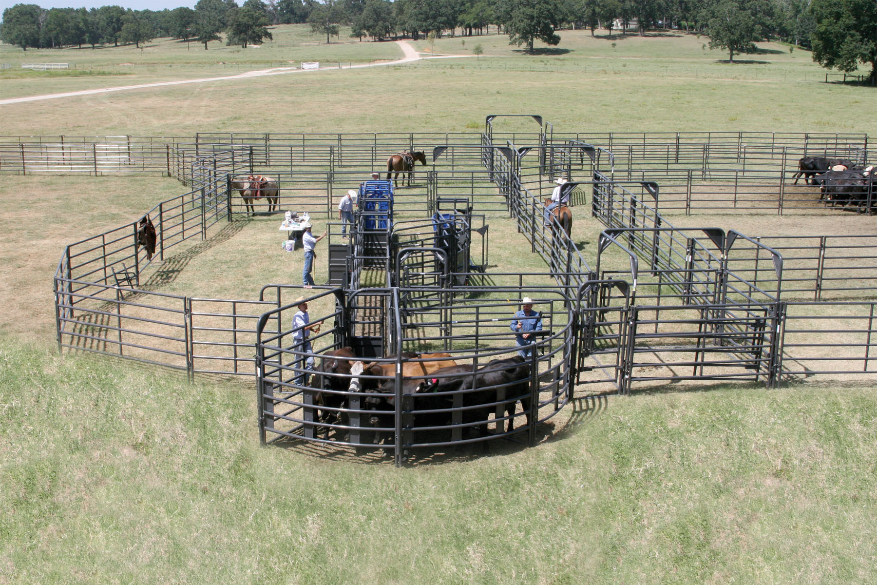 Rough Stock Sweep RSOS 12 01.jpg