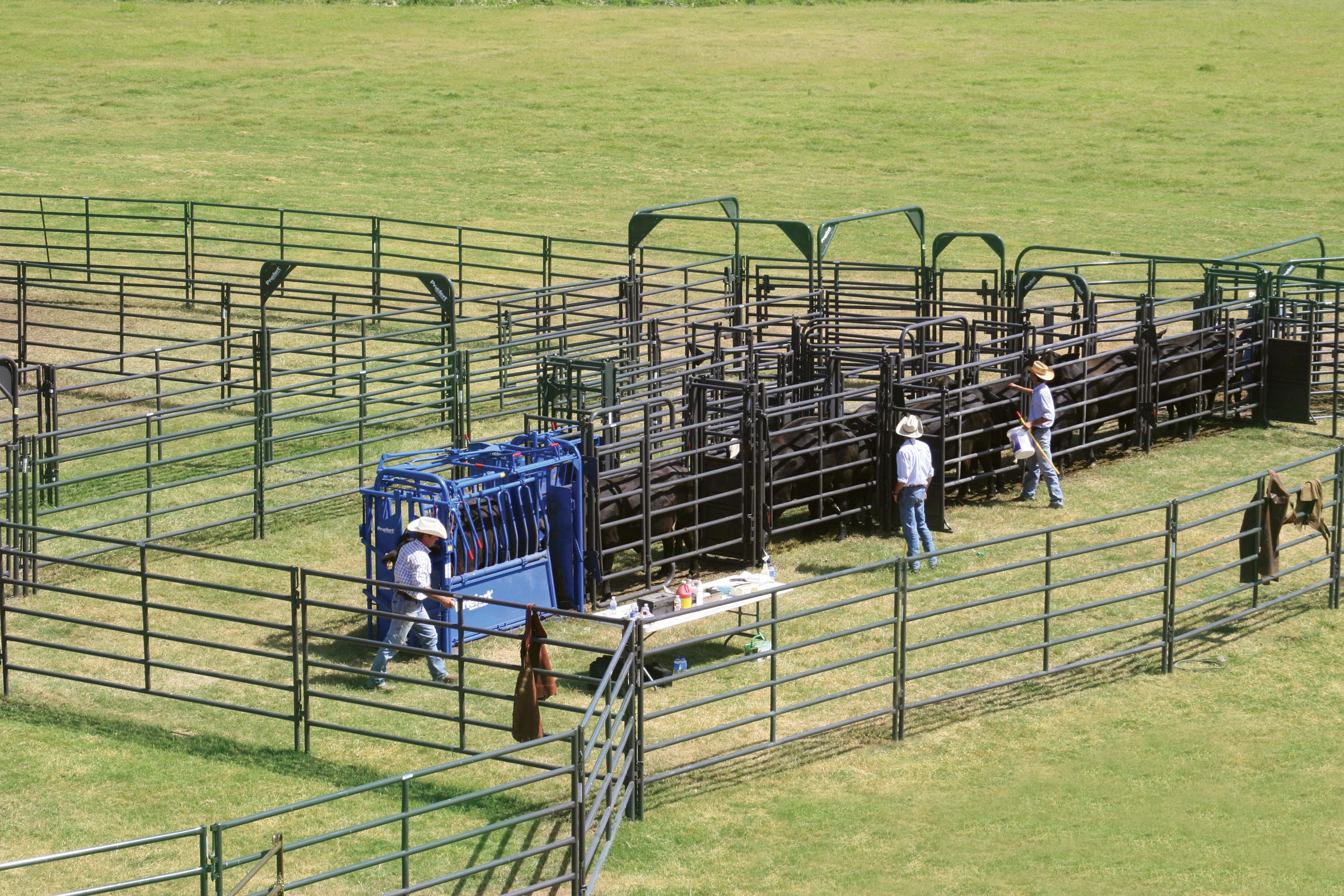 Rough Stock Sweep RSOS 12 04.jpg