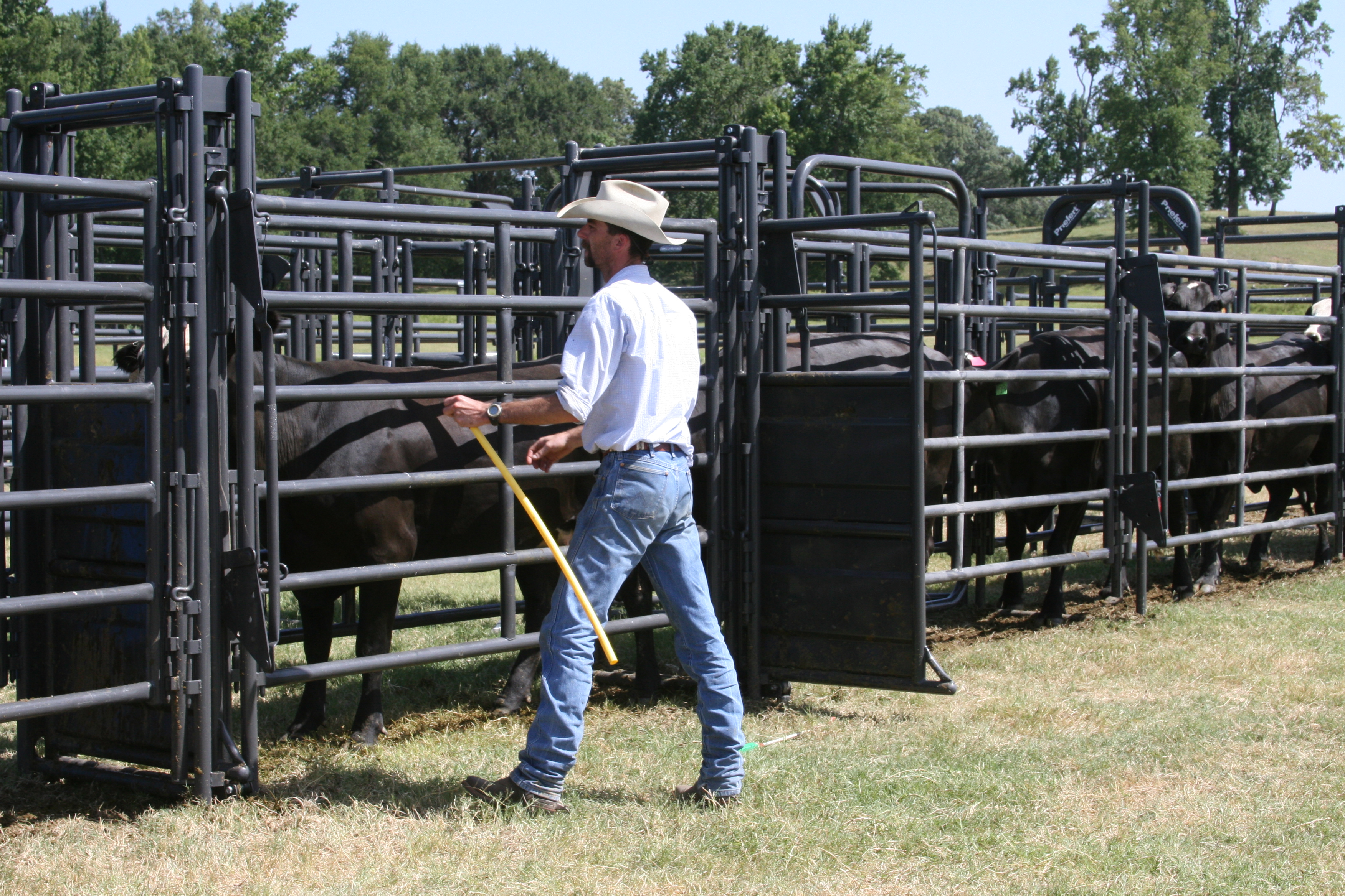 Rough Stock Sweep RSOS 12 05.JPG