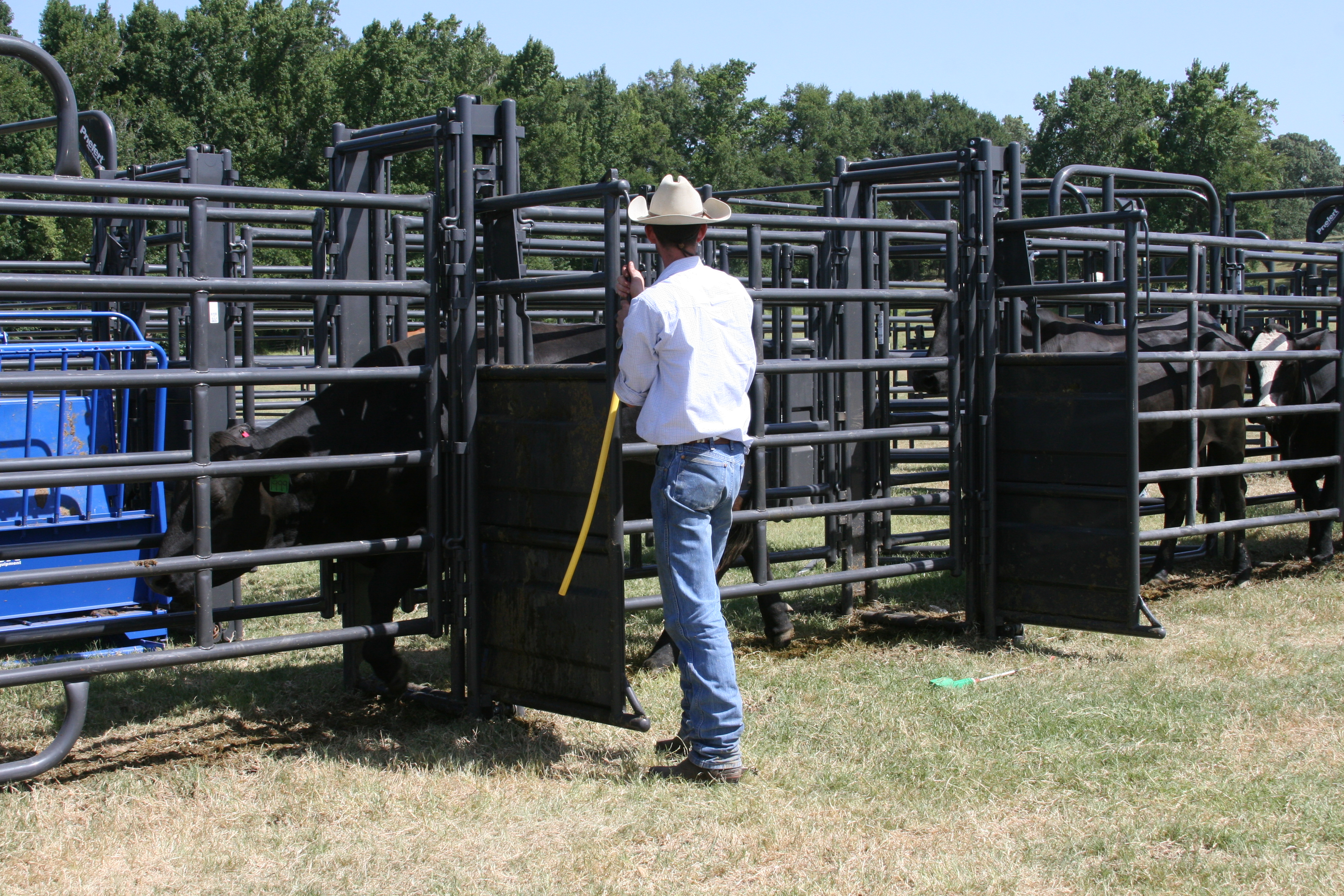 Rough Stock Sweep RSOS 12 06.JPG