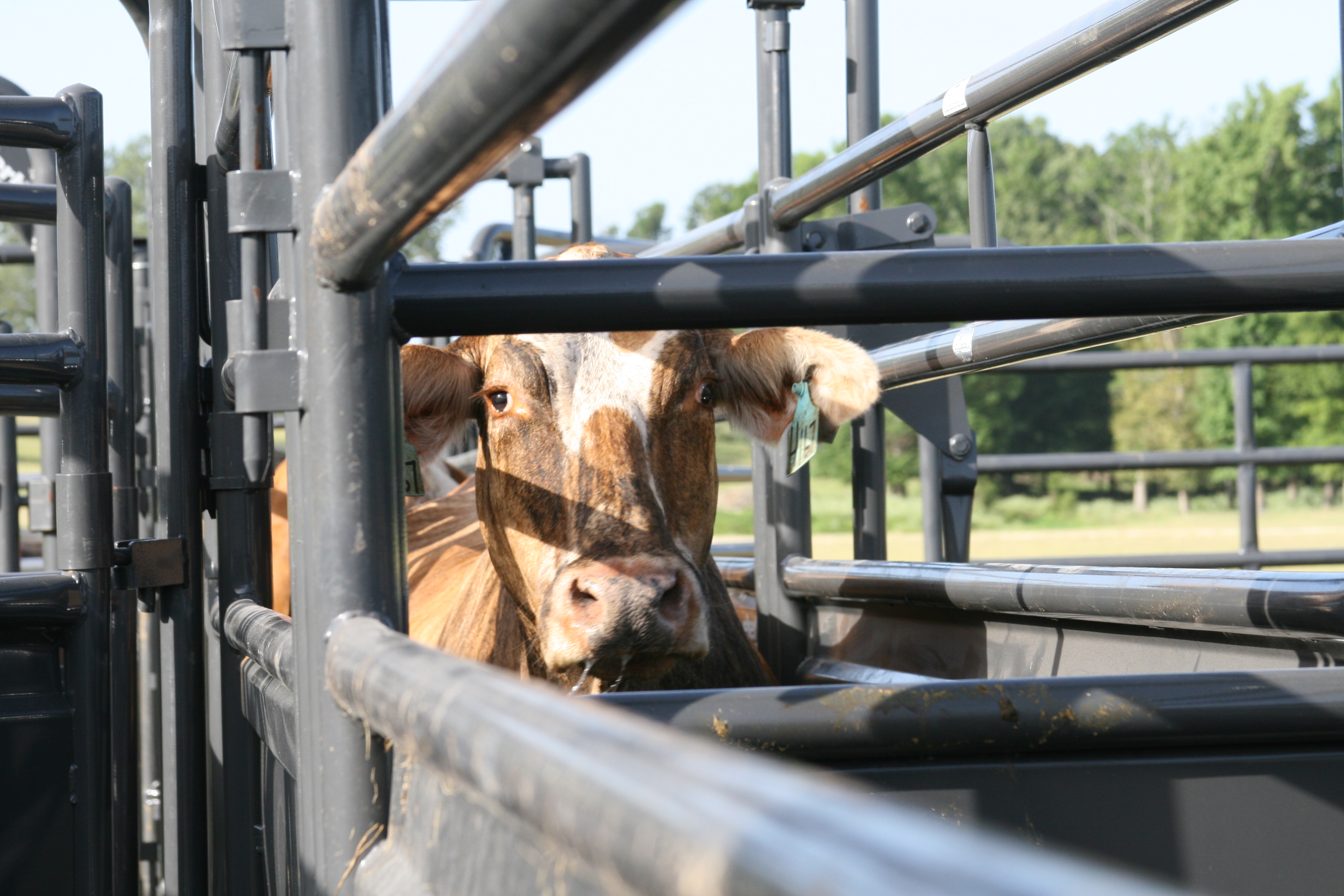 Solid Sweep SSOS 12 02.JPG