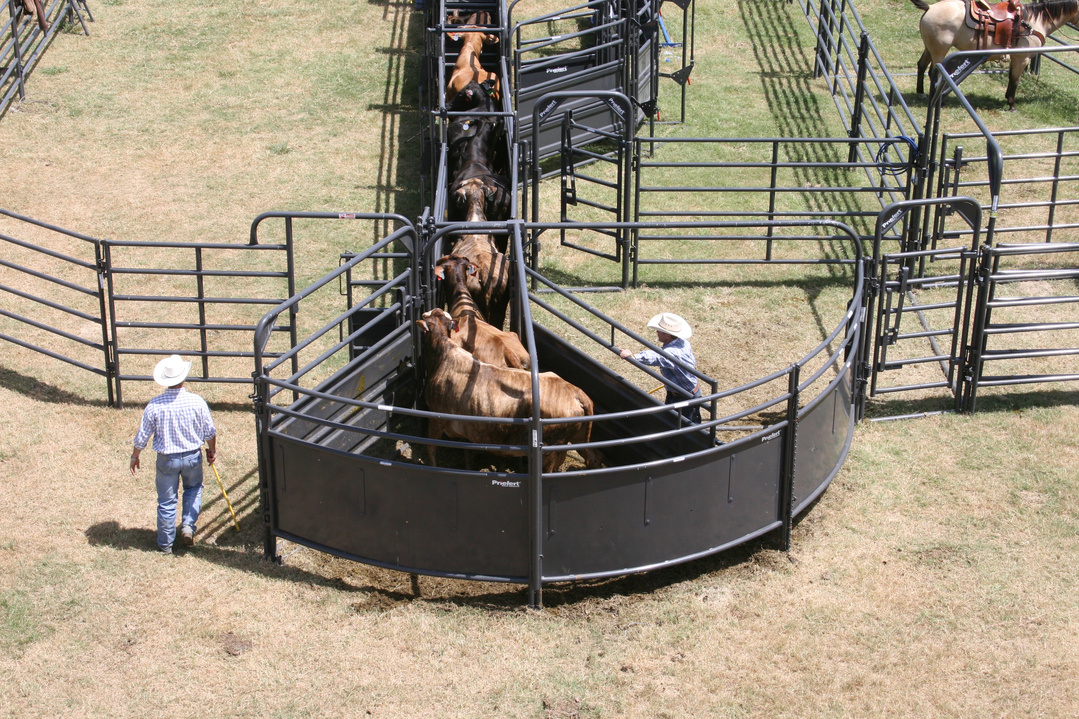 Solid Sweep SSOS 12 04.JPG