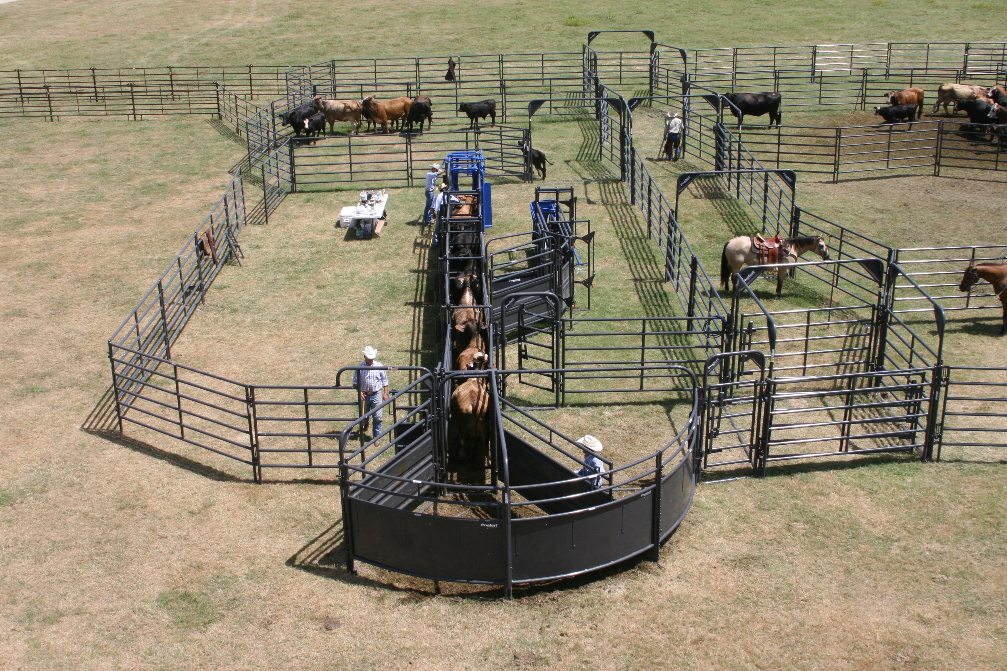 Solid Sweep SSOS 12 05.JPG