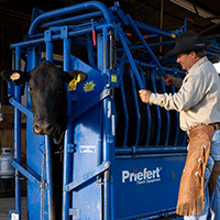 Headgates & Squeeze Chutes