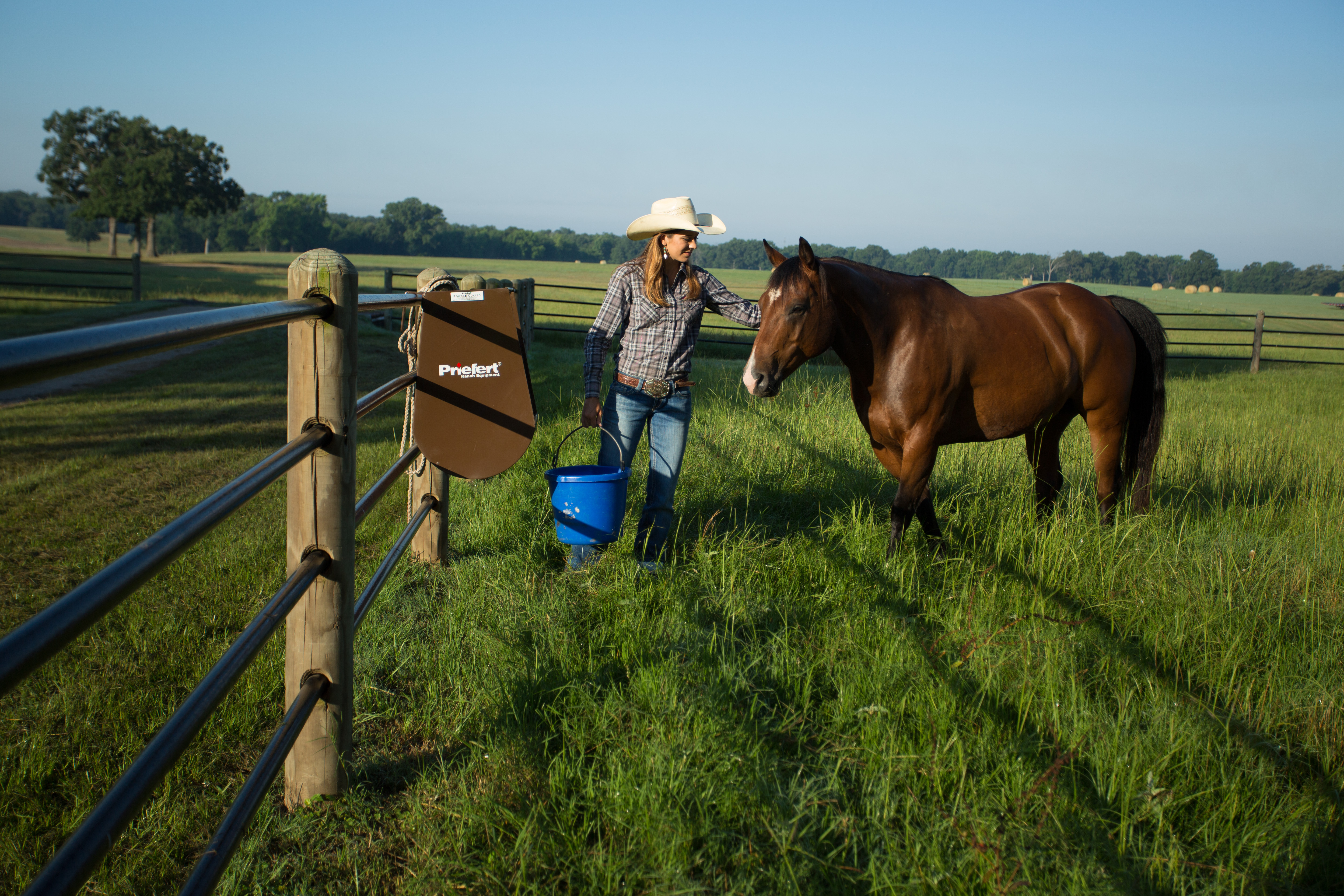 Horse Feeder HGFBN 05.jpg