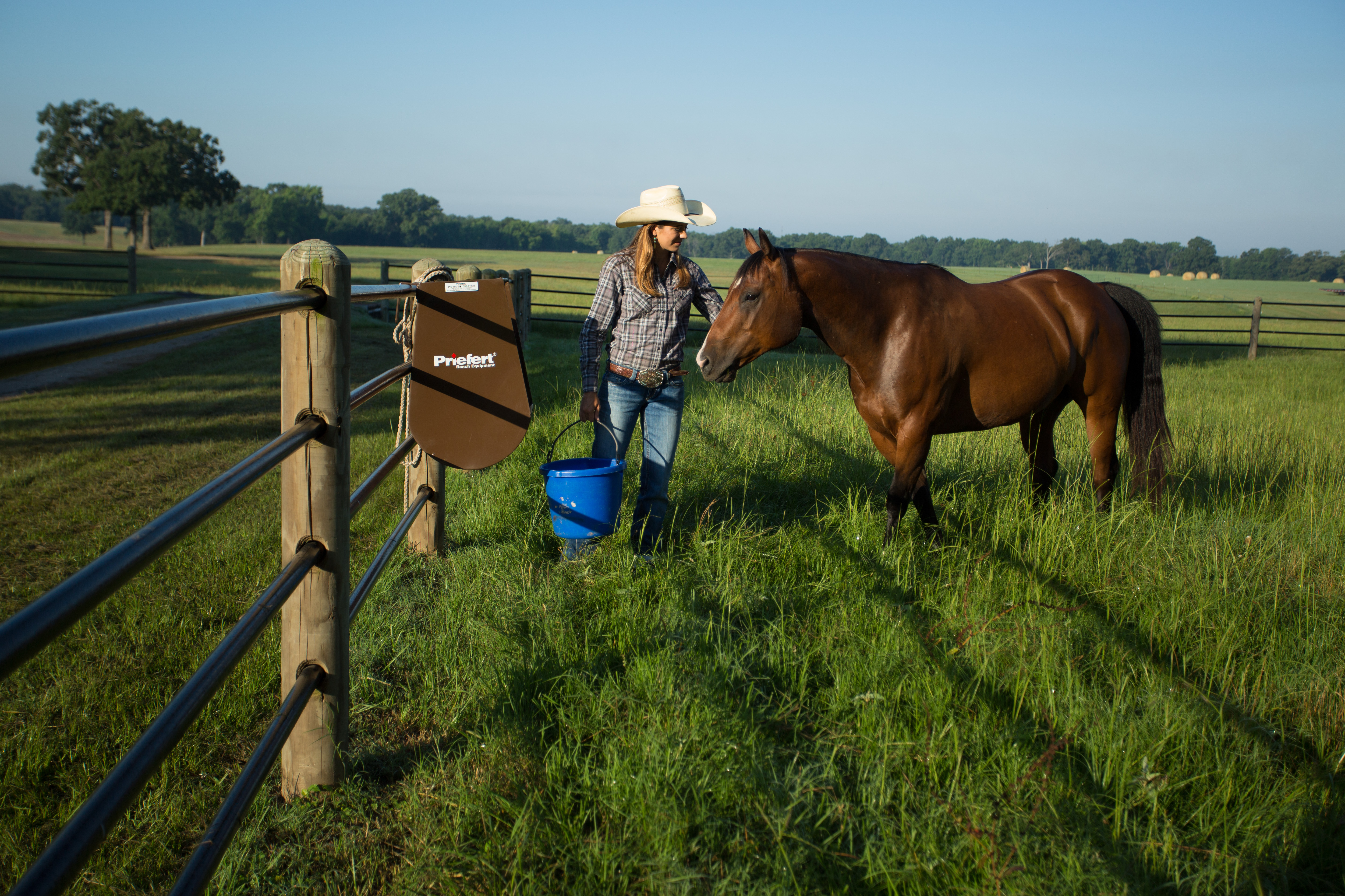 Horse Feeder HGFBN 06.jpg