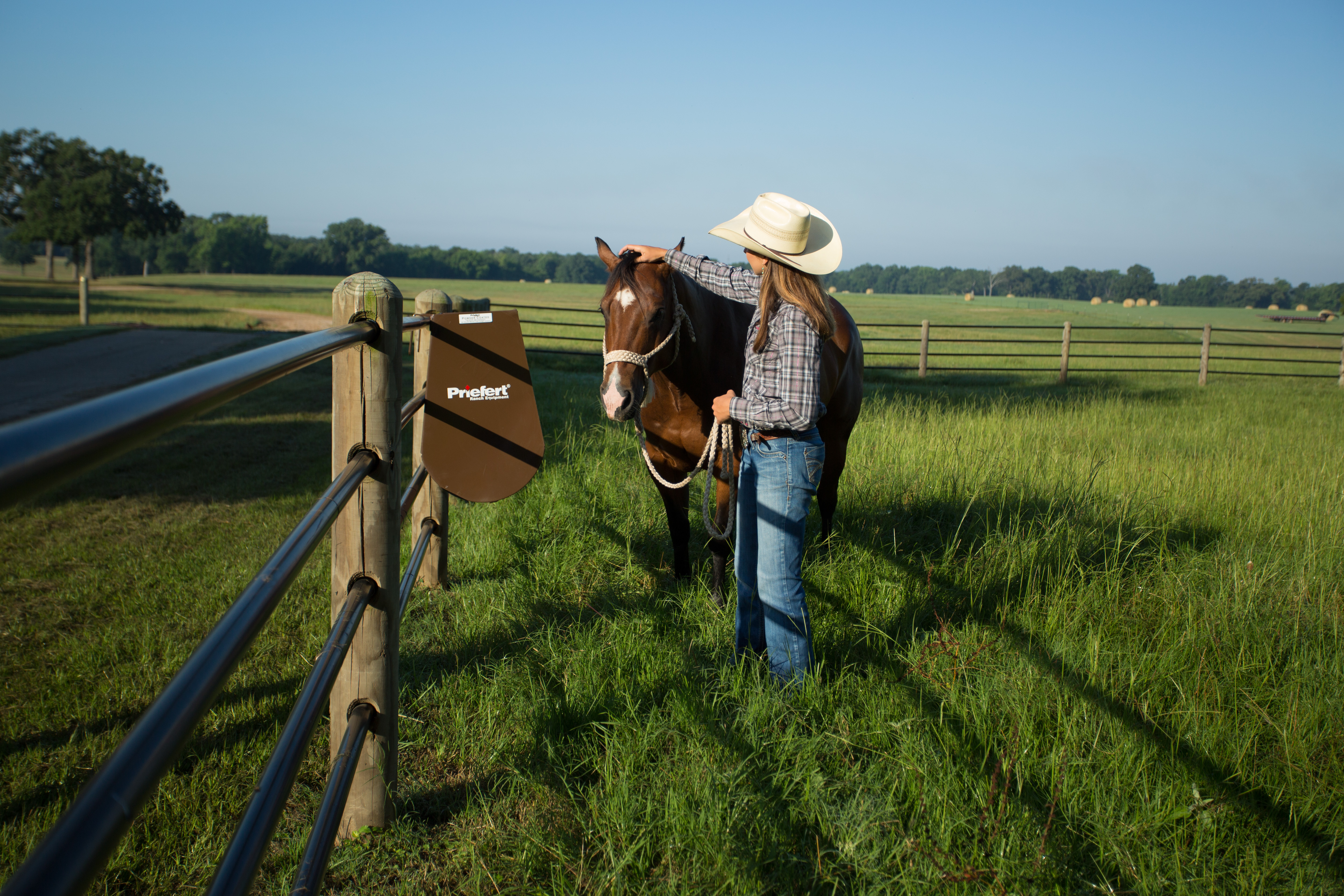 Horse Feeder HGFBN 27.jpg