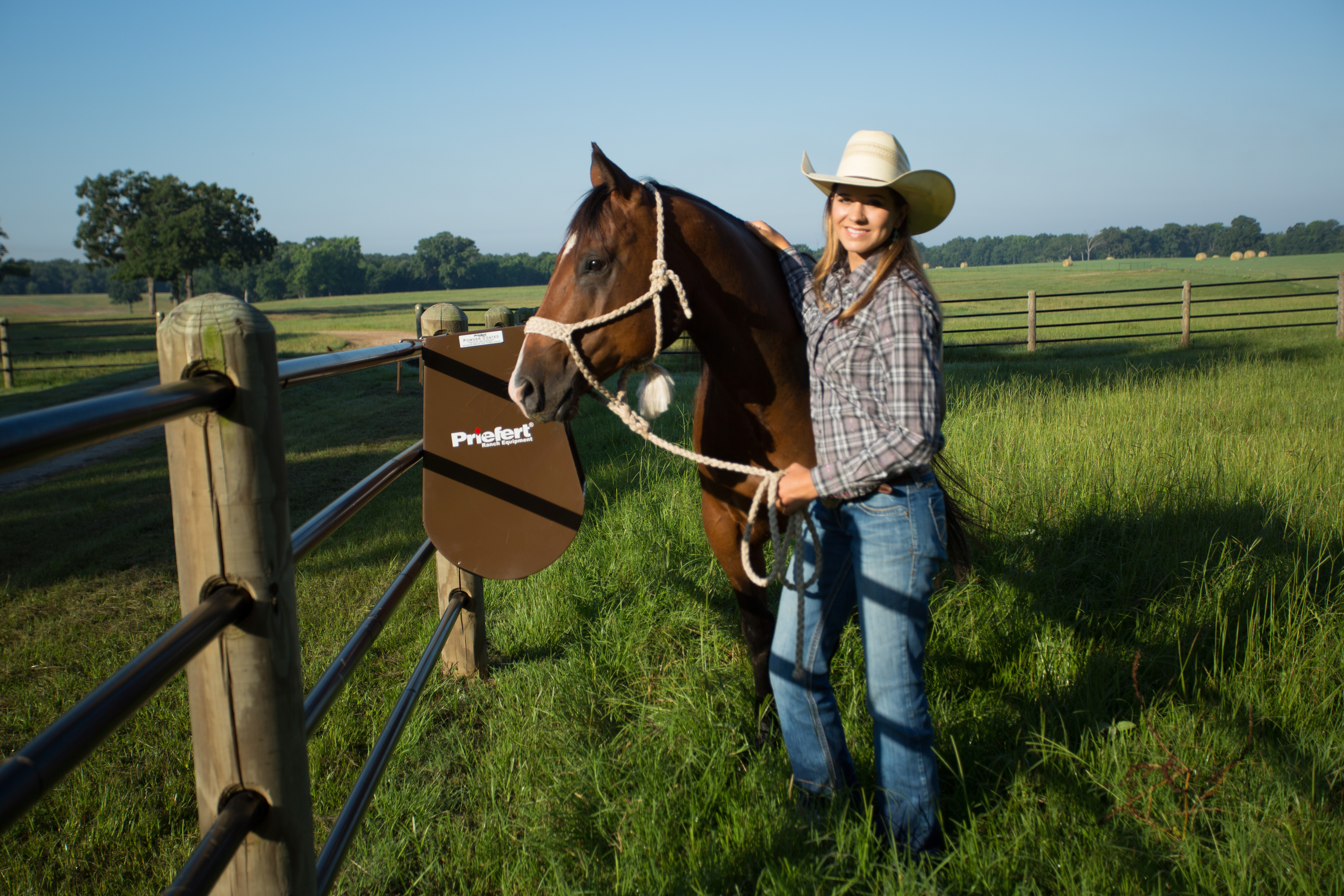 Horse Feeder HGFBN 37.jpg