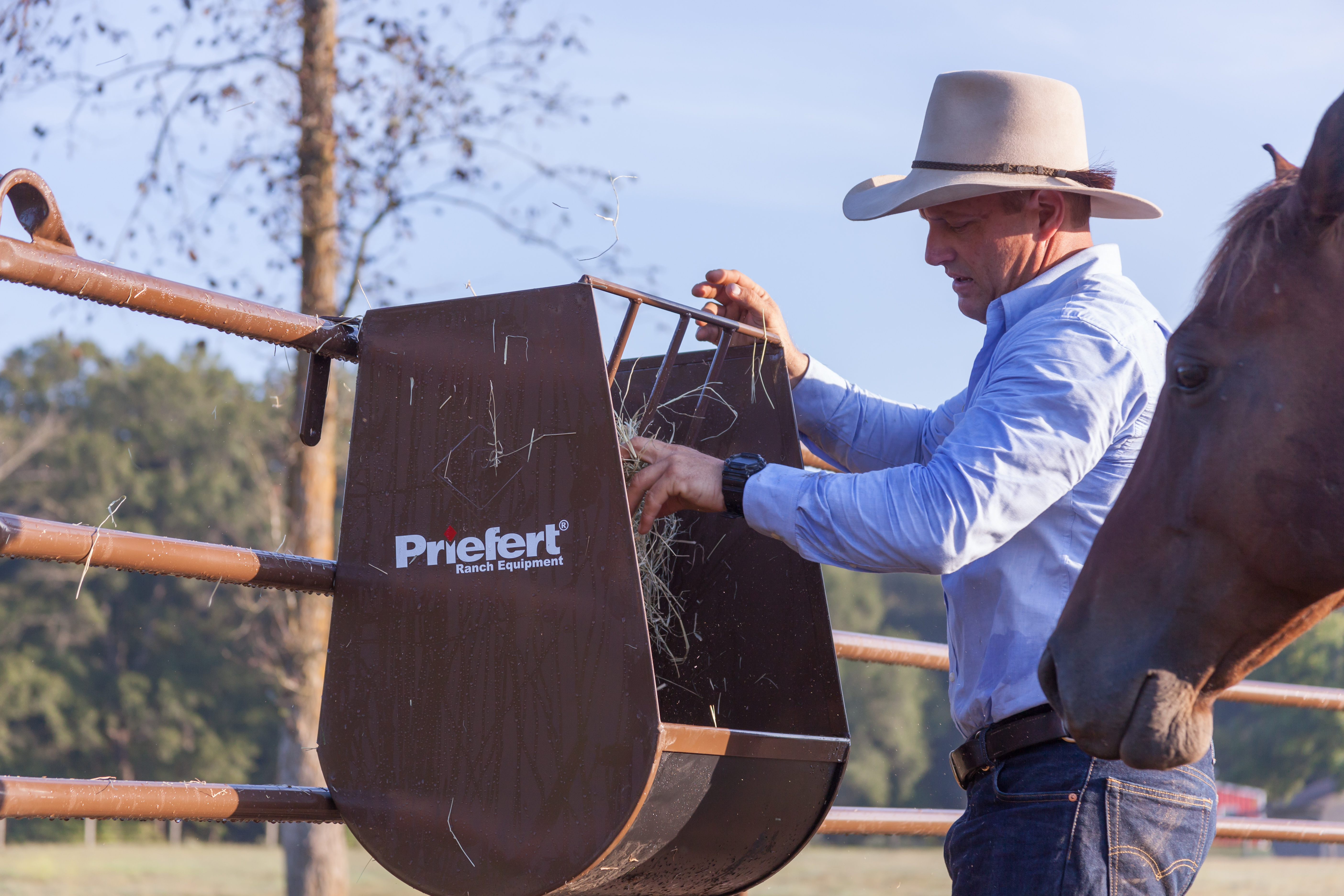 Horse Guy Mclean HGF02.jpg