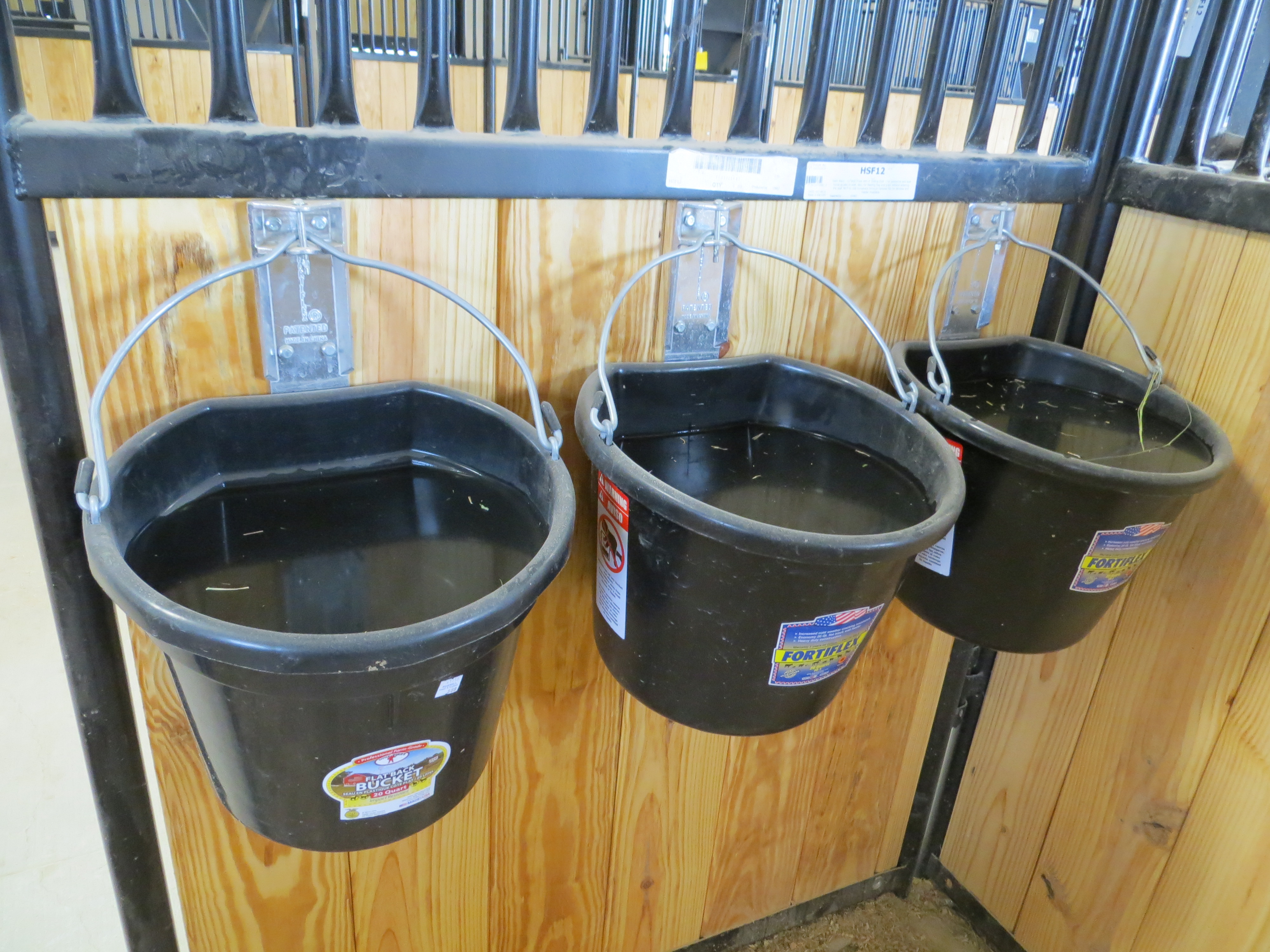 Mounted Patrol 06.JPG