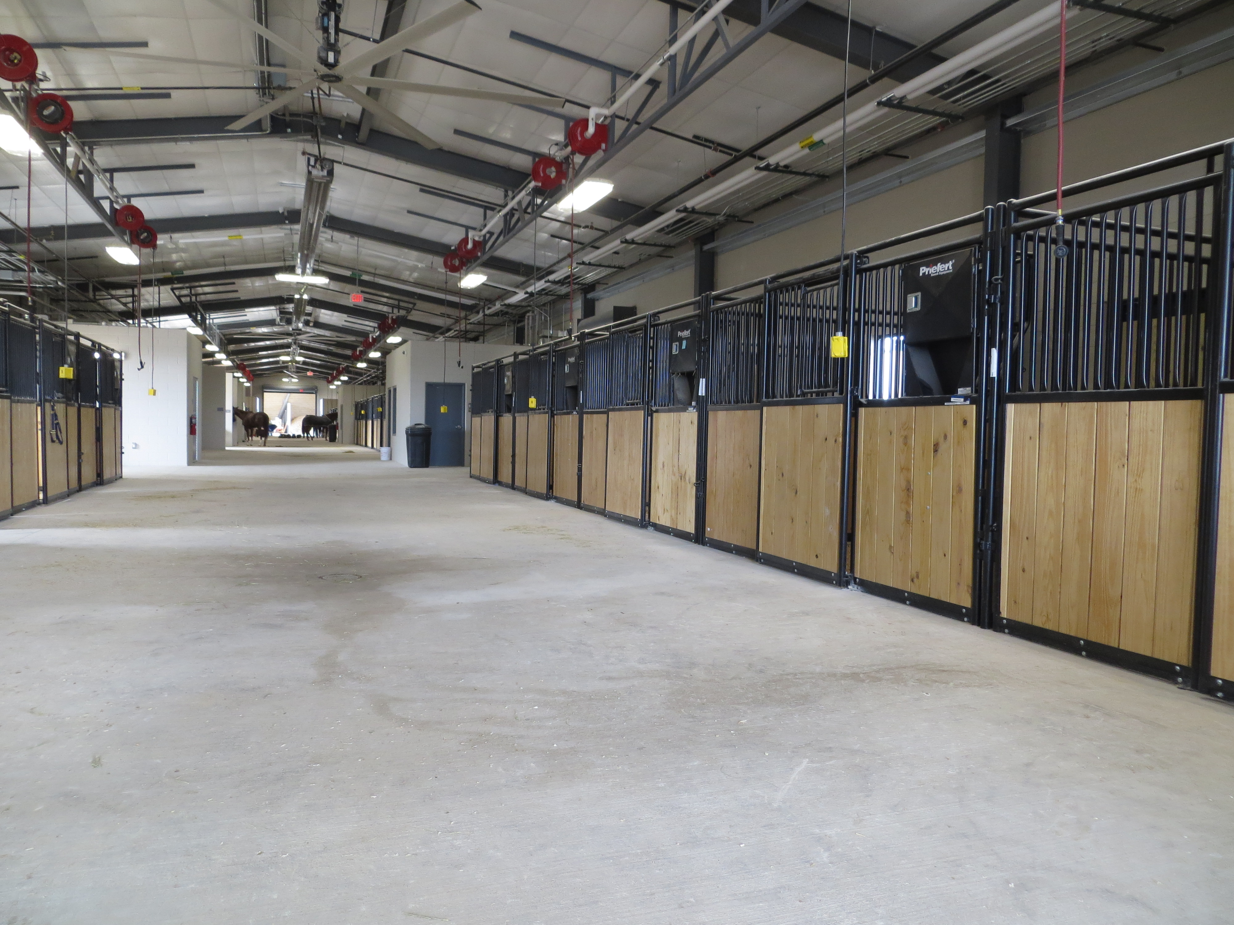 Mounted Patrol 07.JPG