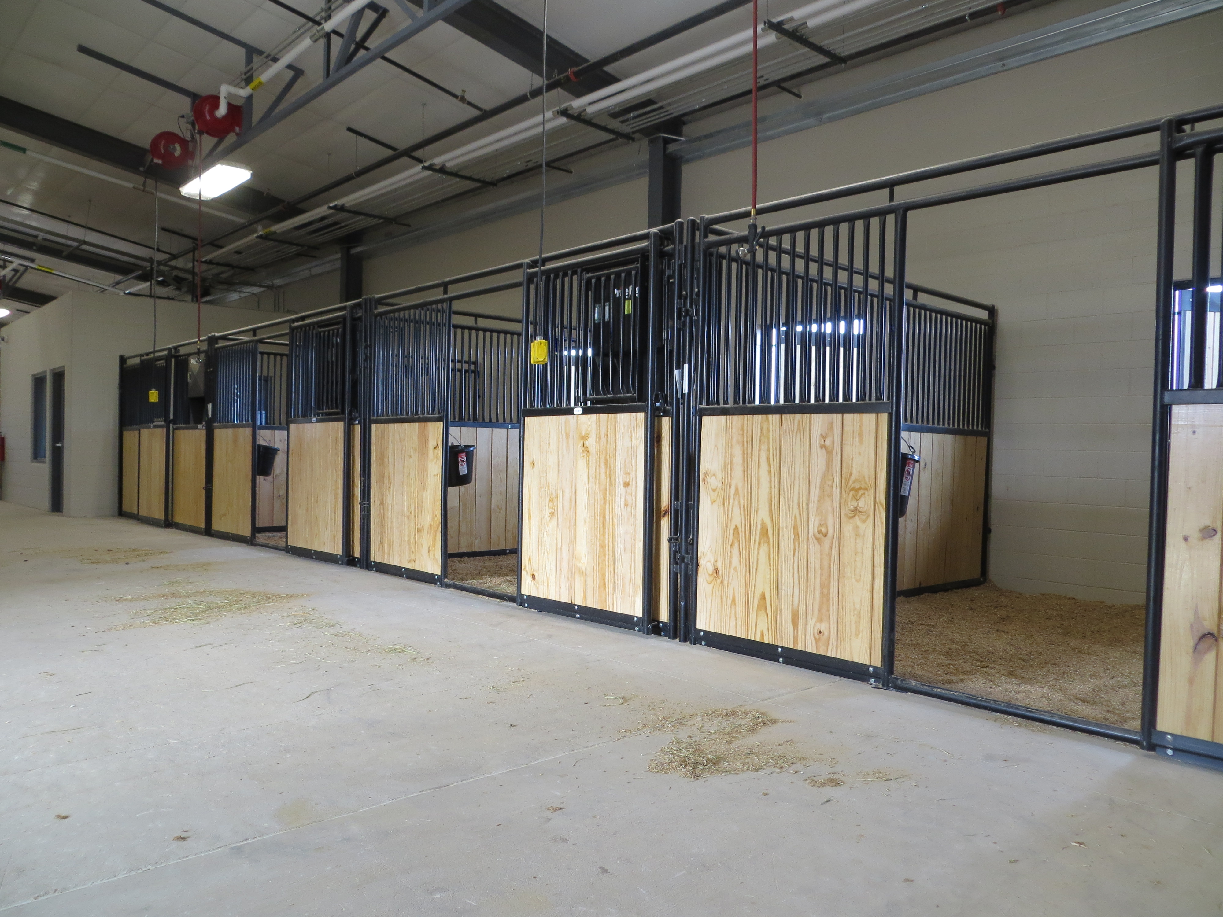 Mounted Patrol 09.JPG