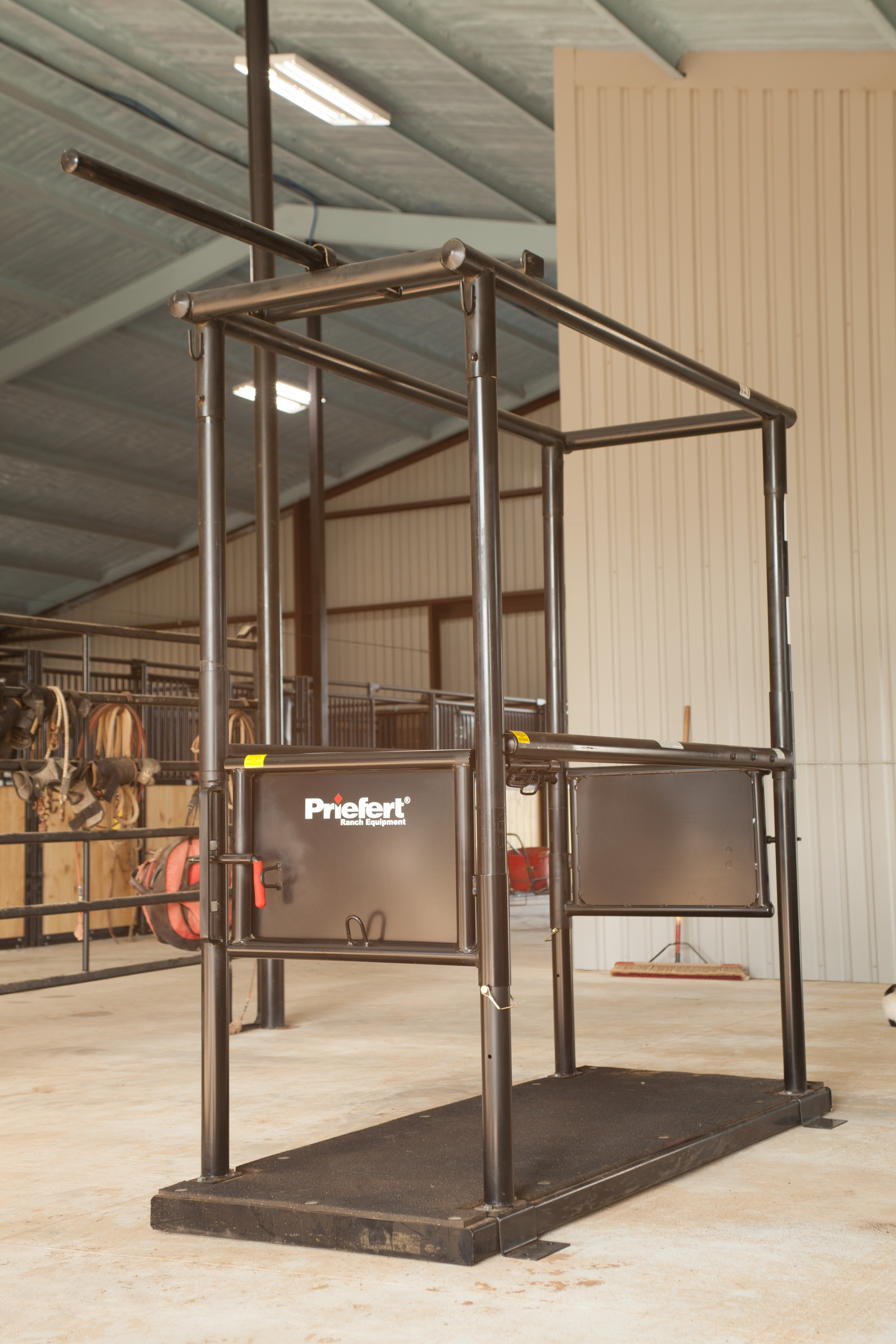 HS HorseStock Bynum 01.jpg