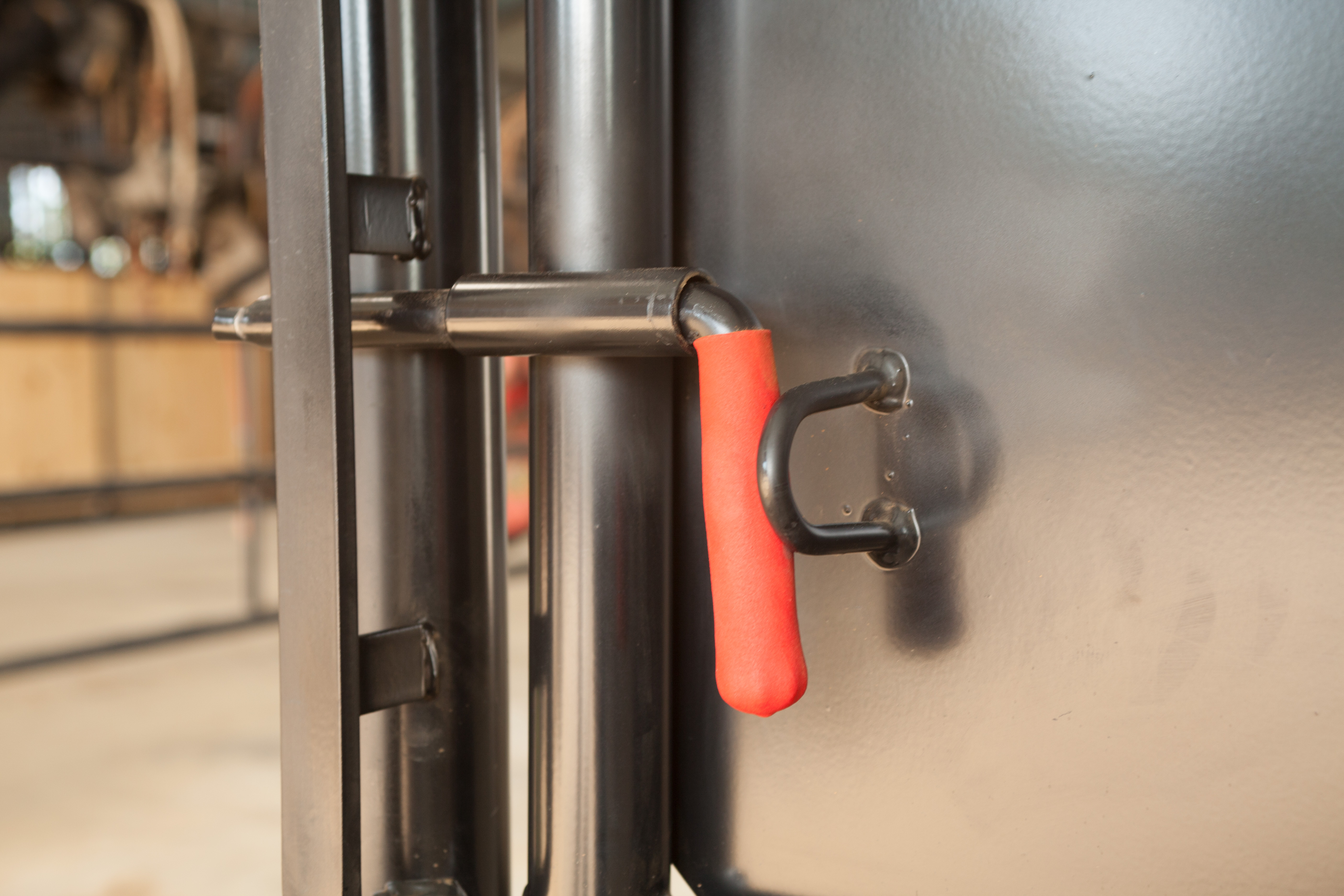 HS HorseStock Bynum 02.jpg