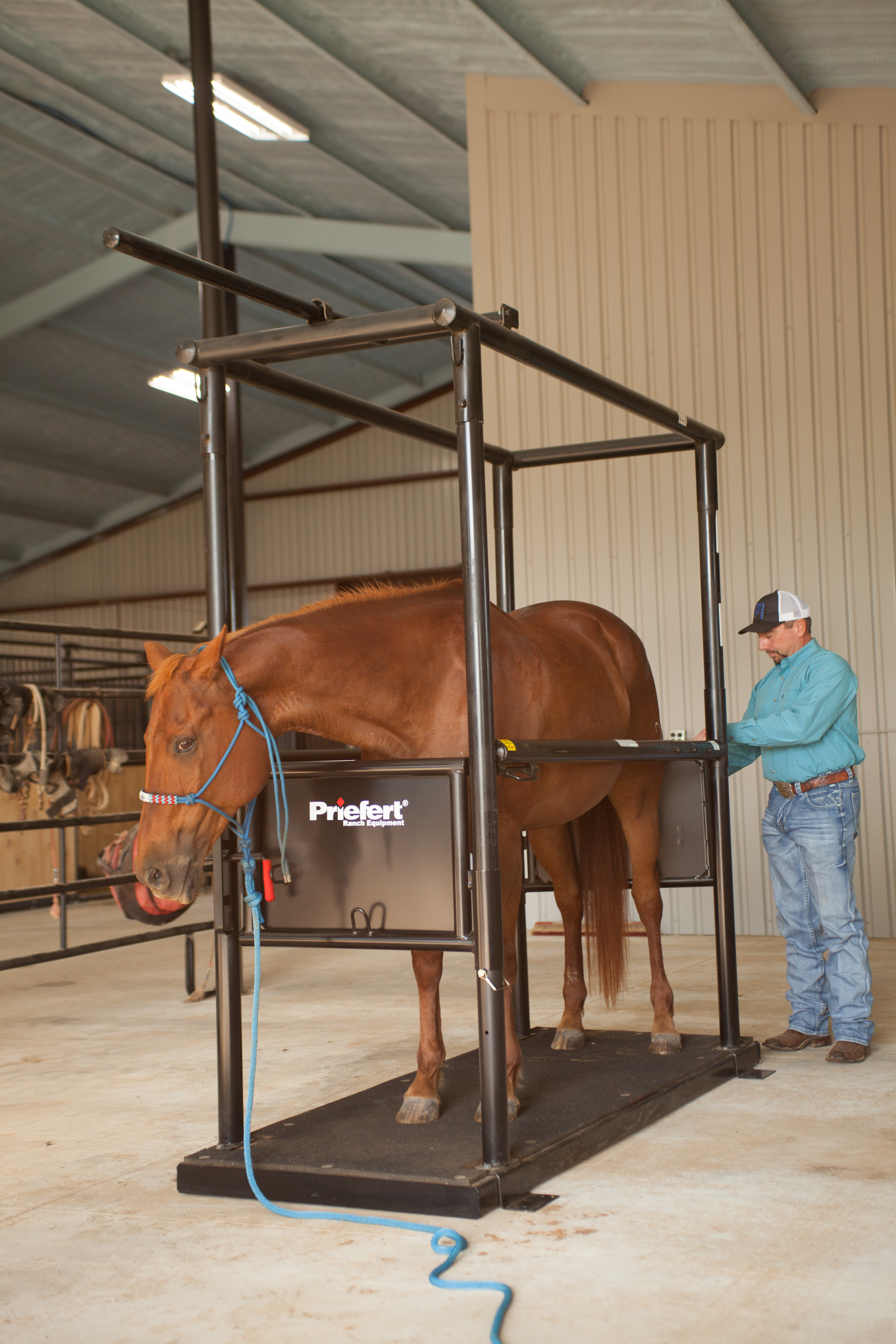 HS HorseStock Bynum 09.jpg