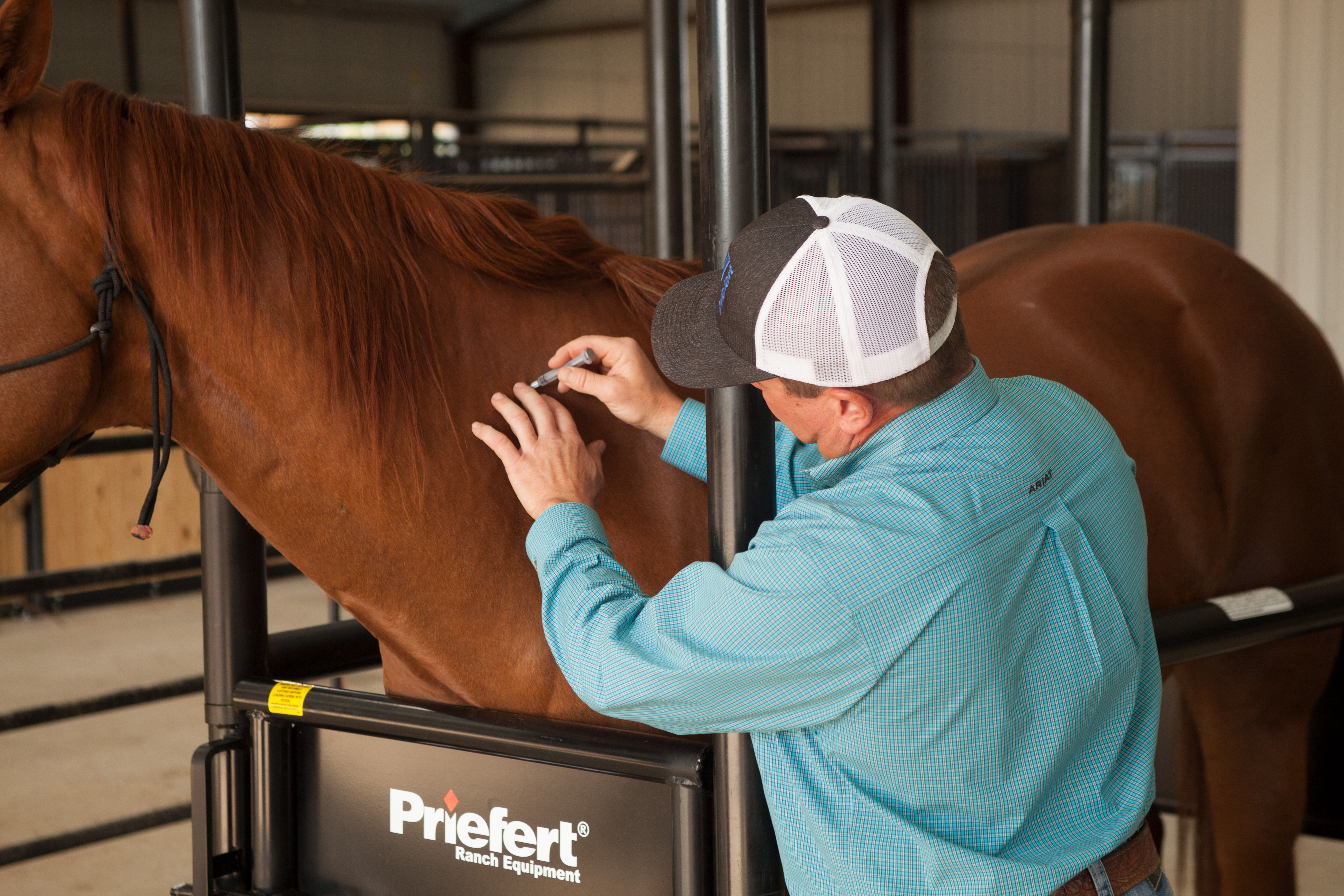 HS HorseStock Bynum 15.jpg