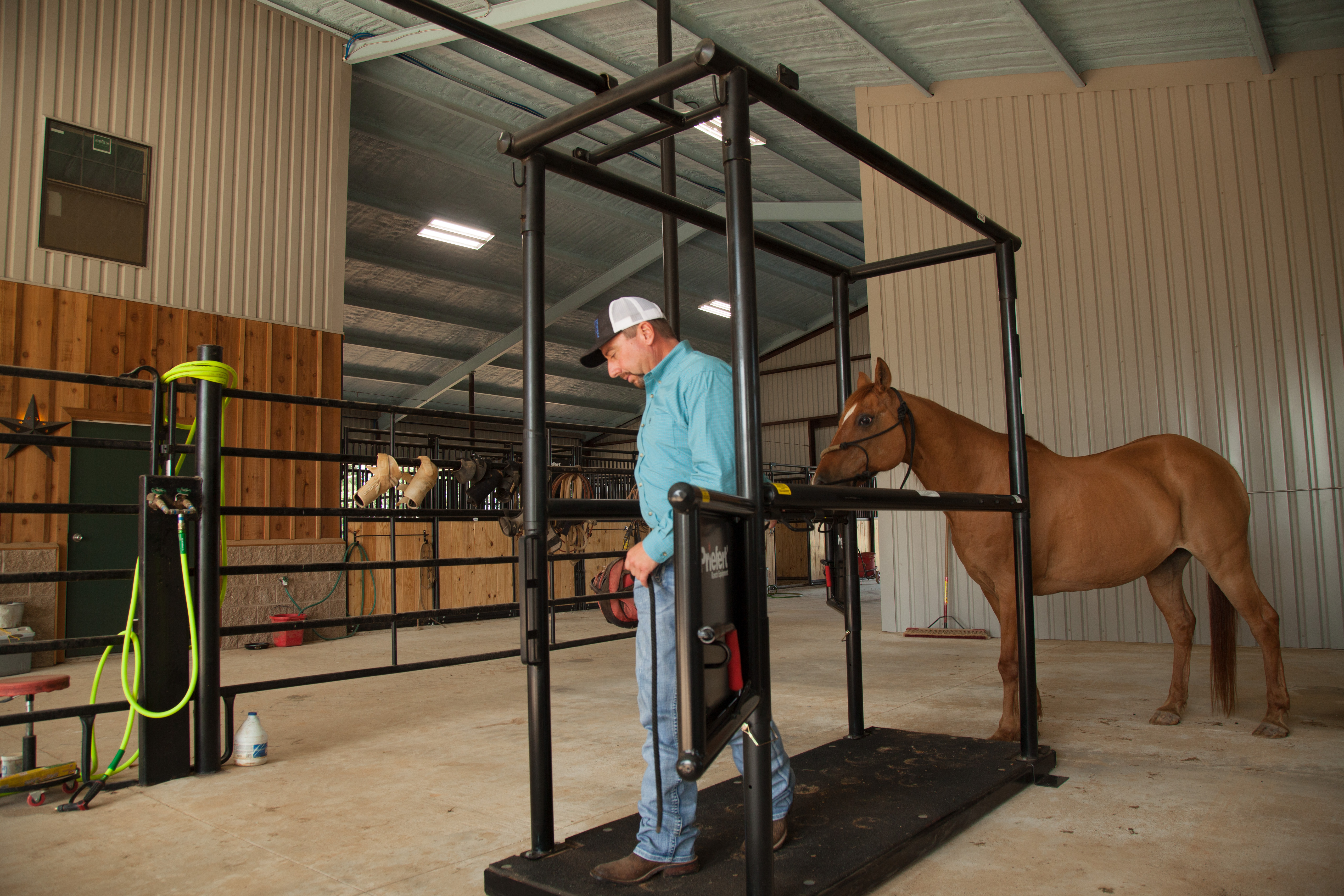 HS HorseStock Bynum 16.jpg