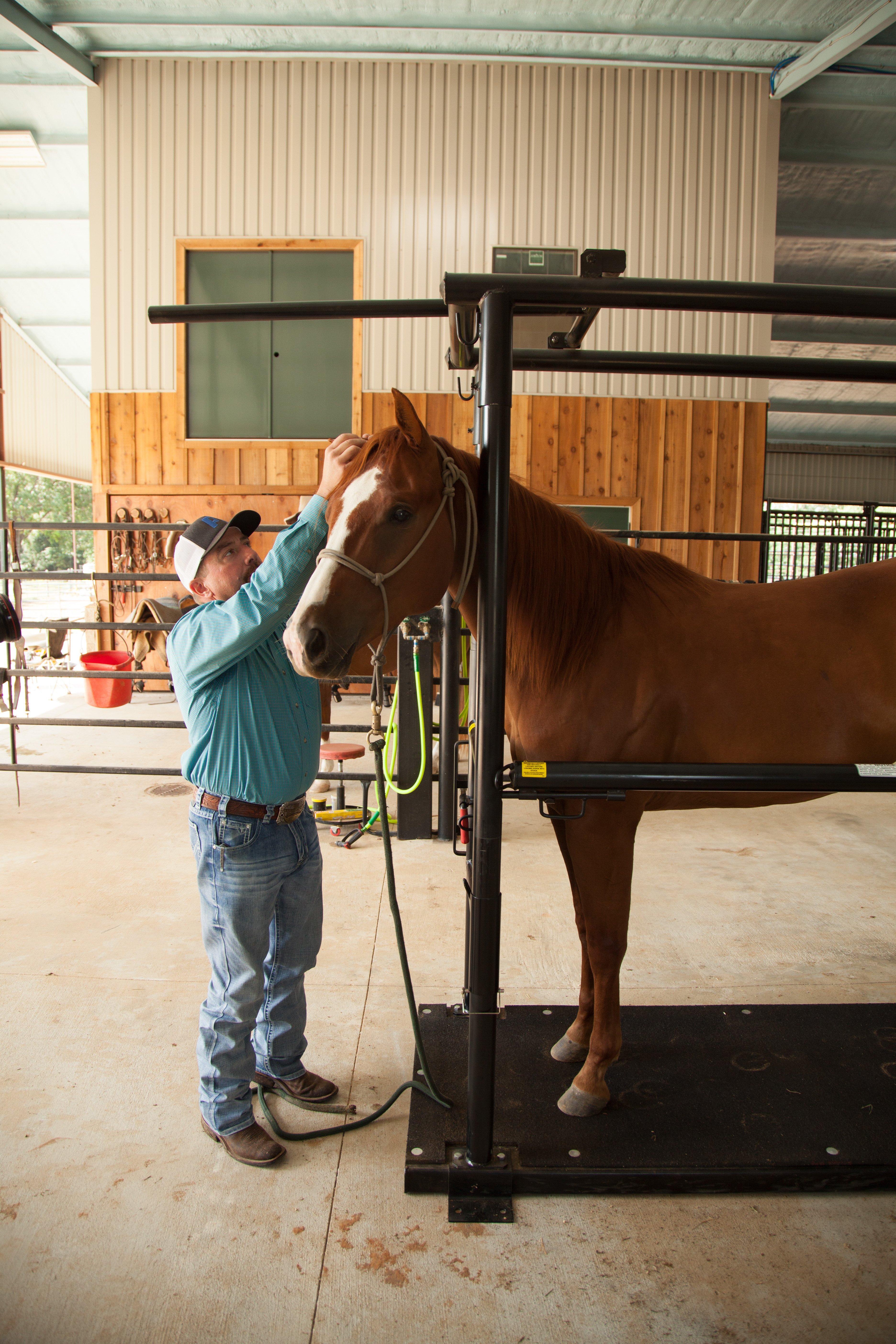 HS HorseStock Bynum 19.jpg