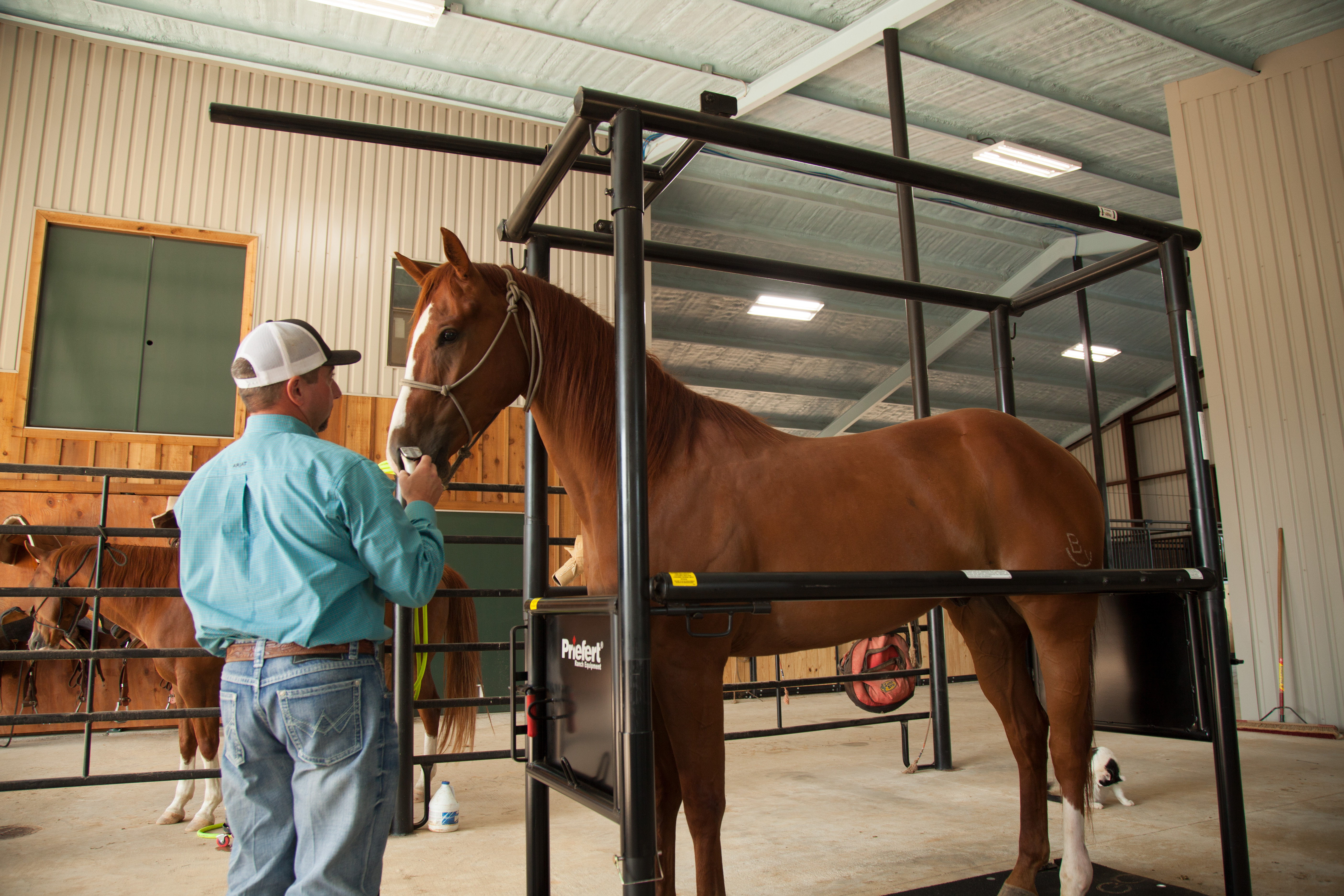 HS HorseStock Bynum 22.jpg