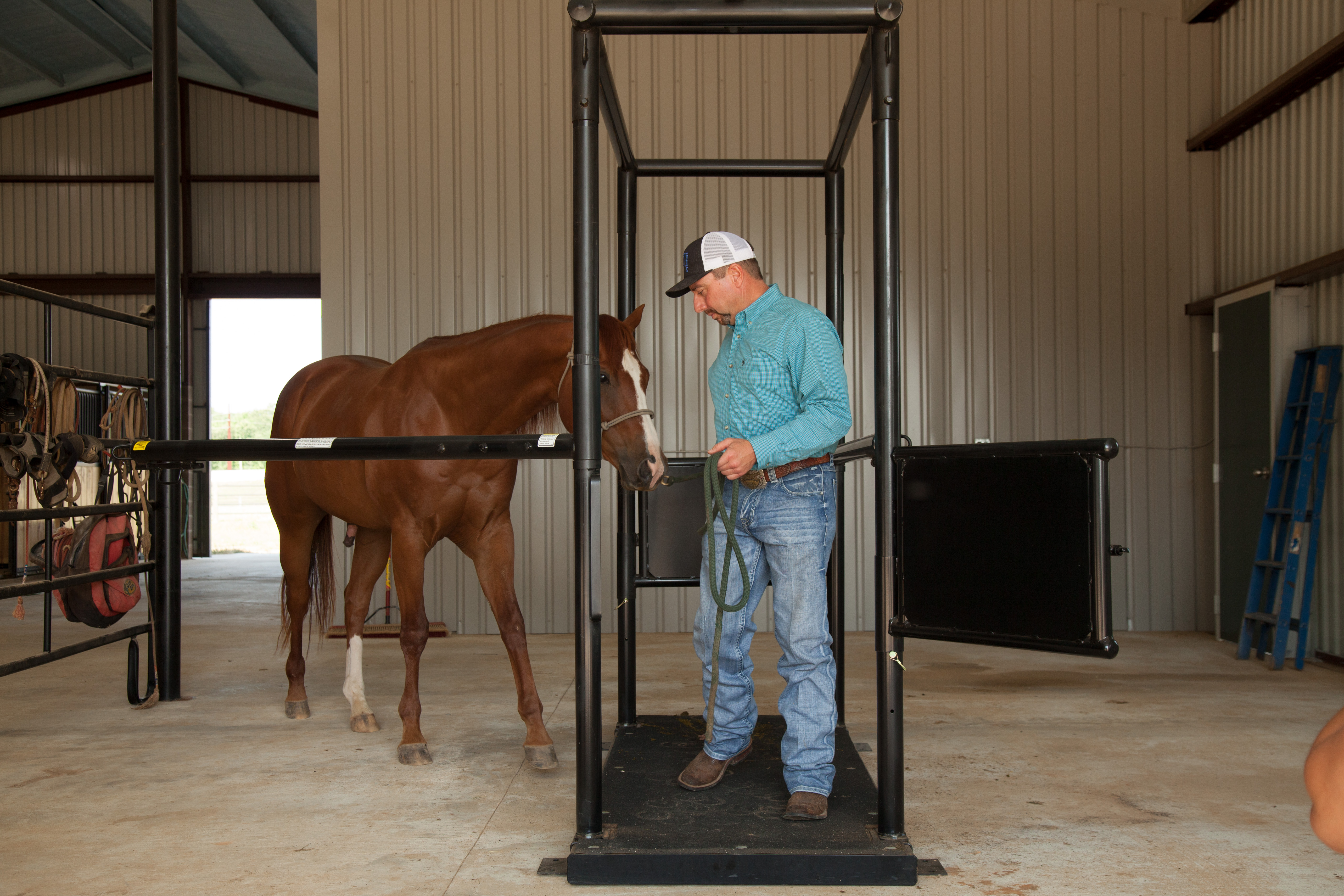 HS HorseStock Bynum 29.jpg