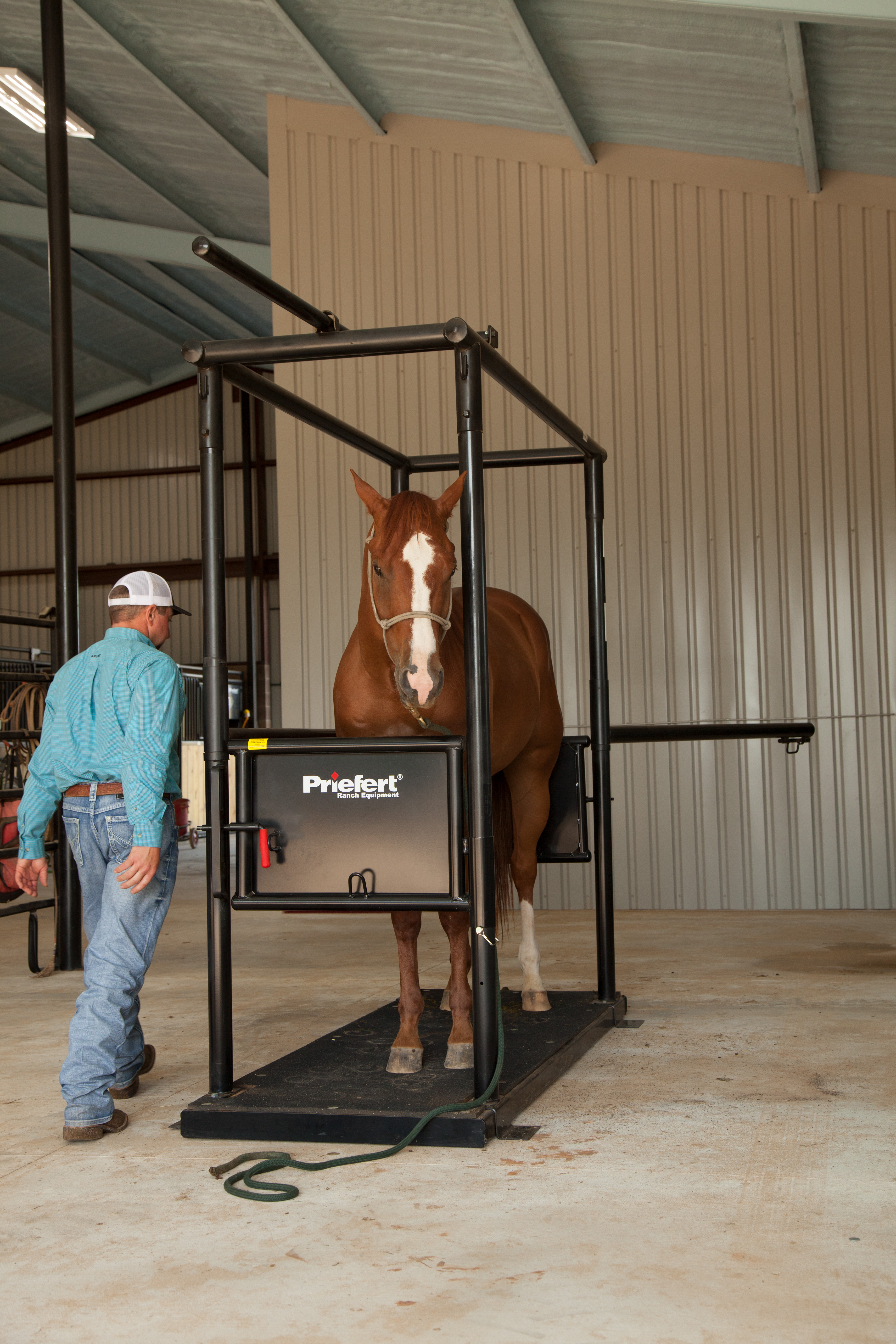 HS HorseStock Bynum 30.jpg