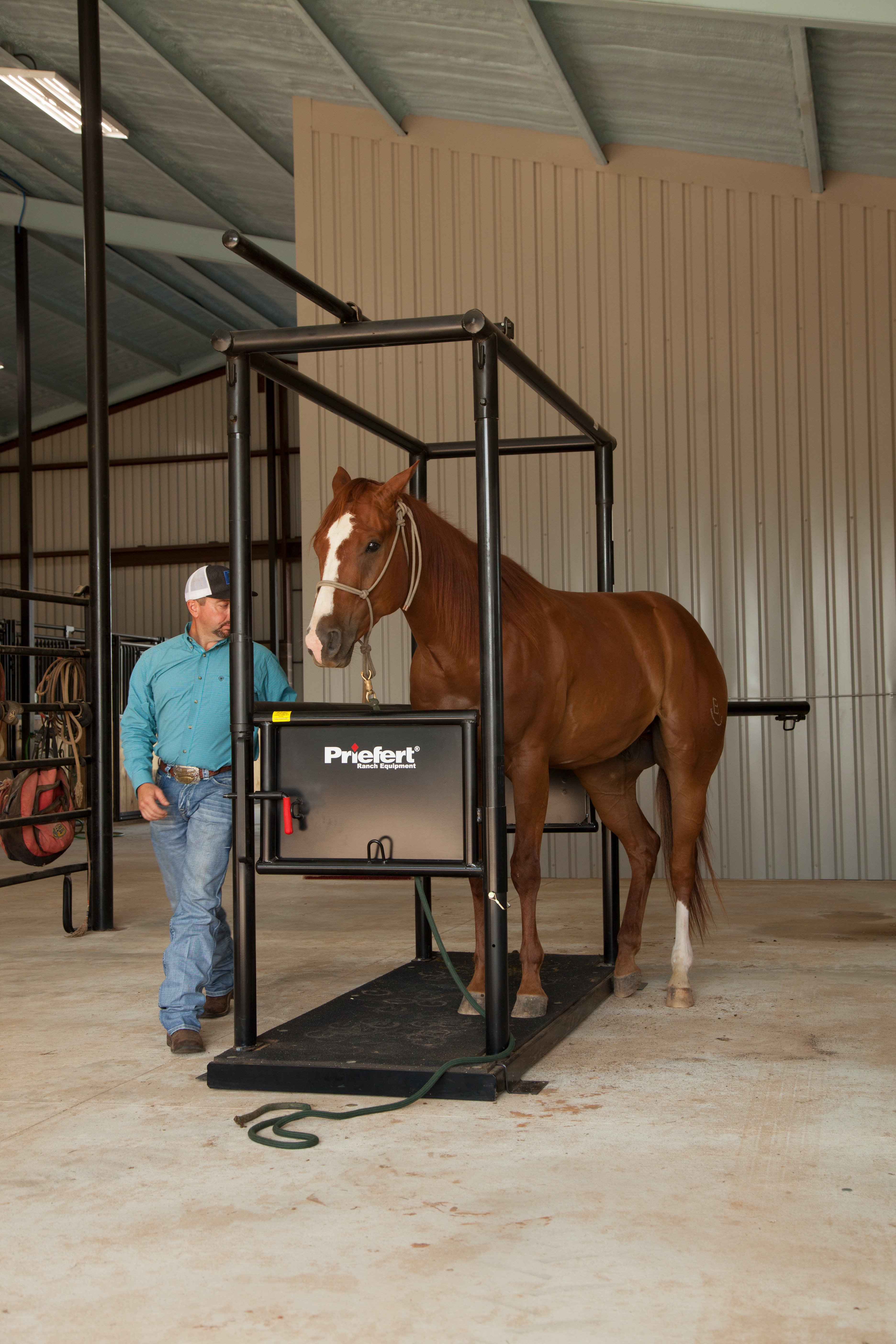 HS HorseStock Bynum 31.jpg