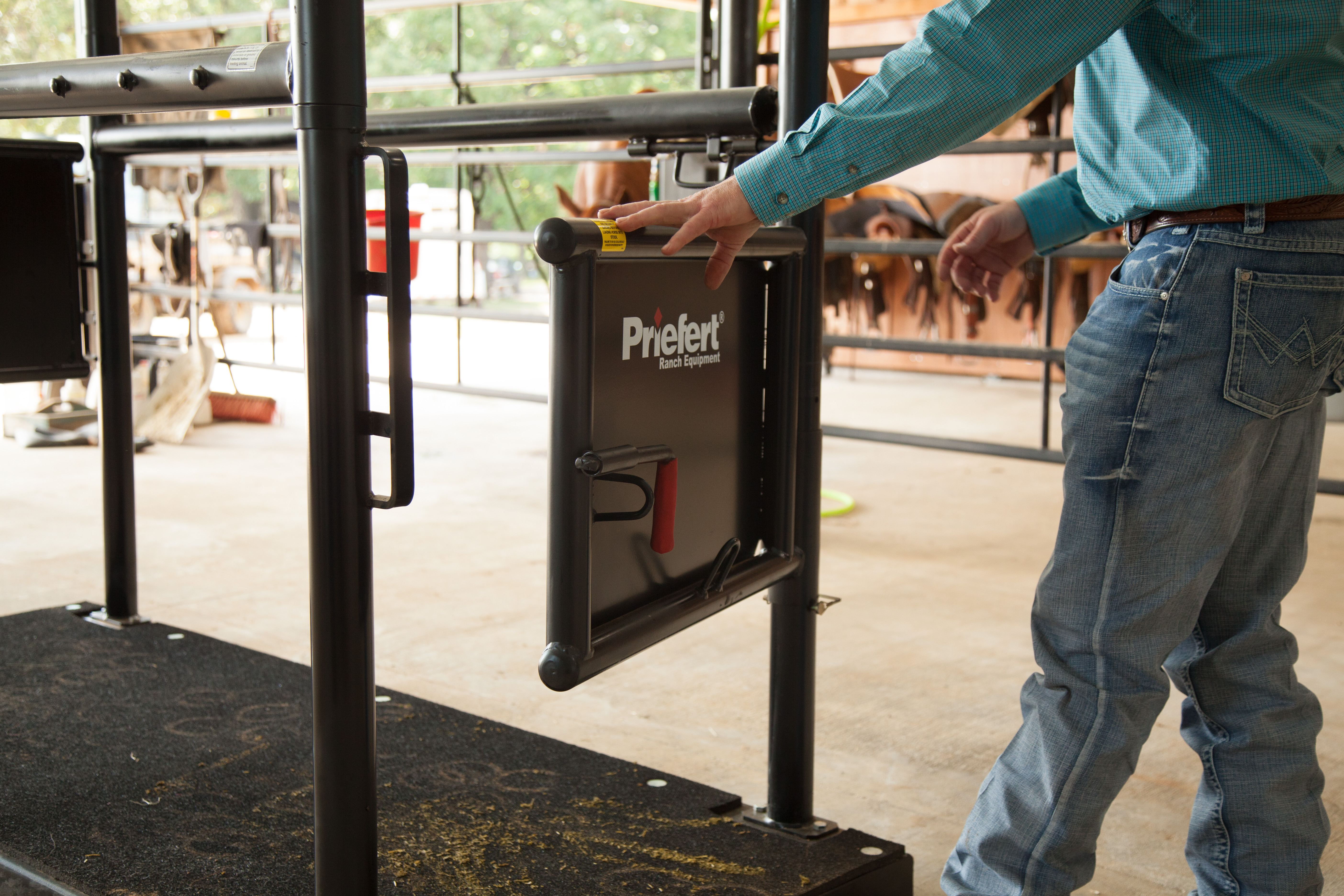 HS HorseStock Bynum 33.jpg