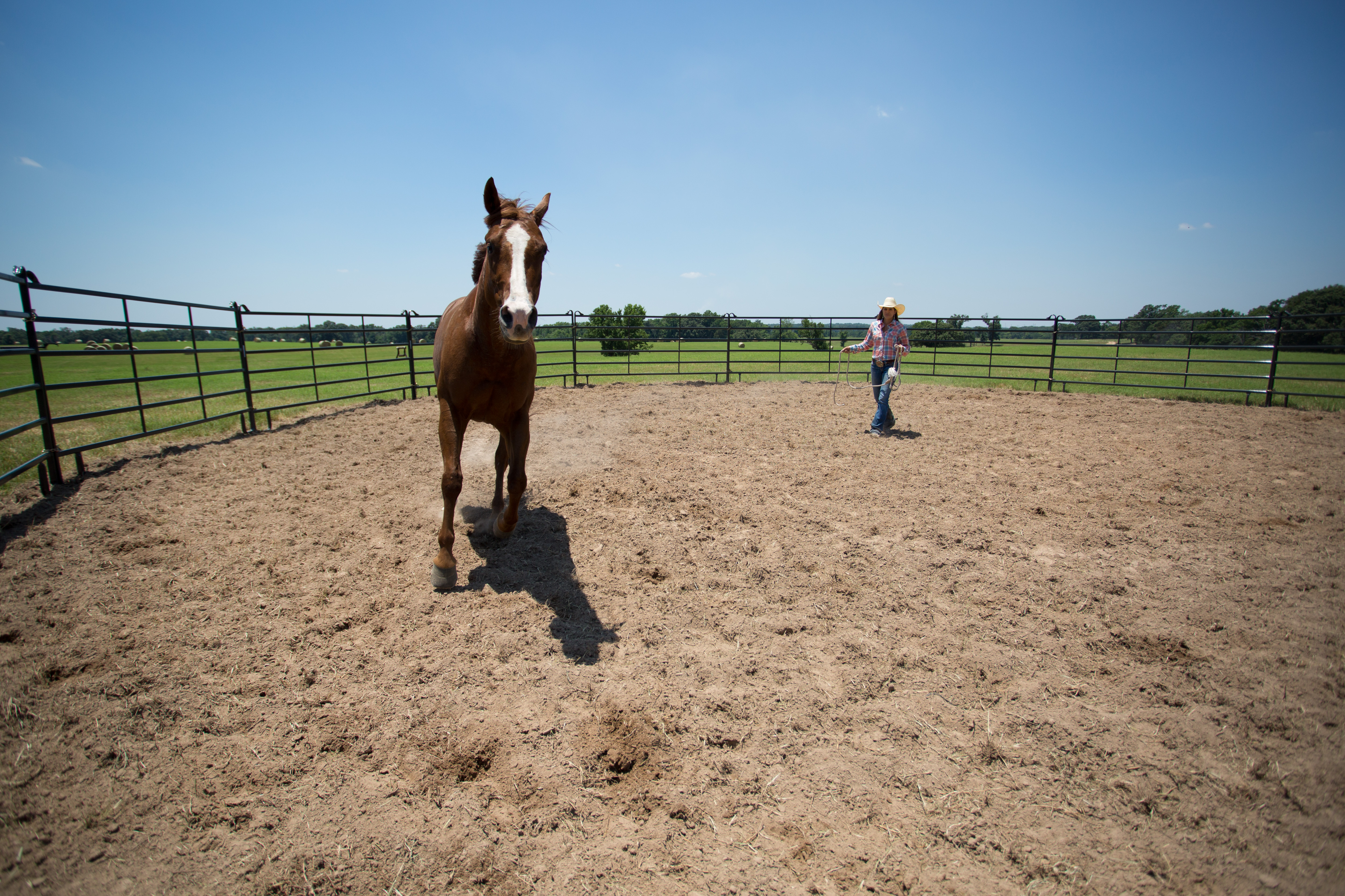 Premier Round Pen PP50 01.jpg