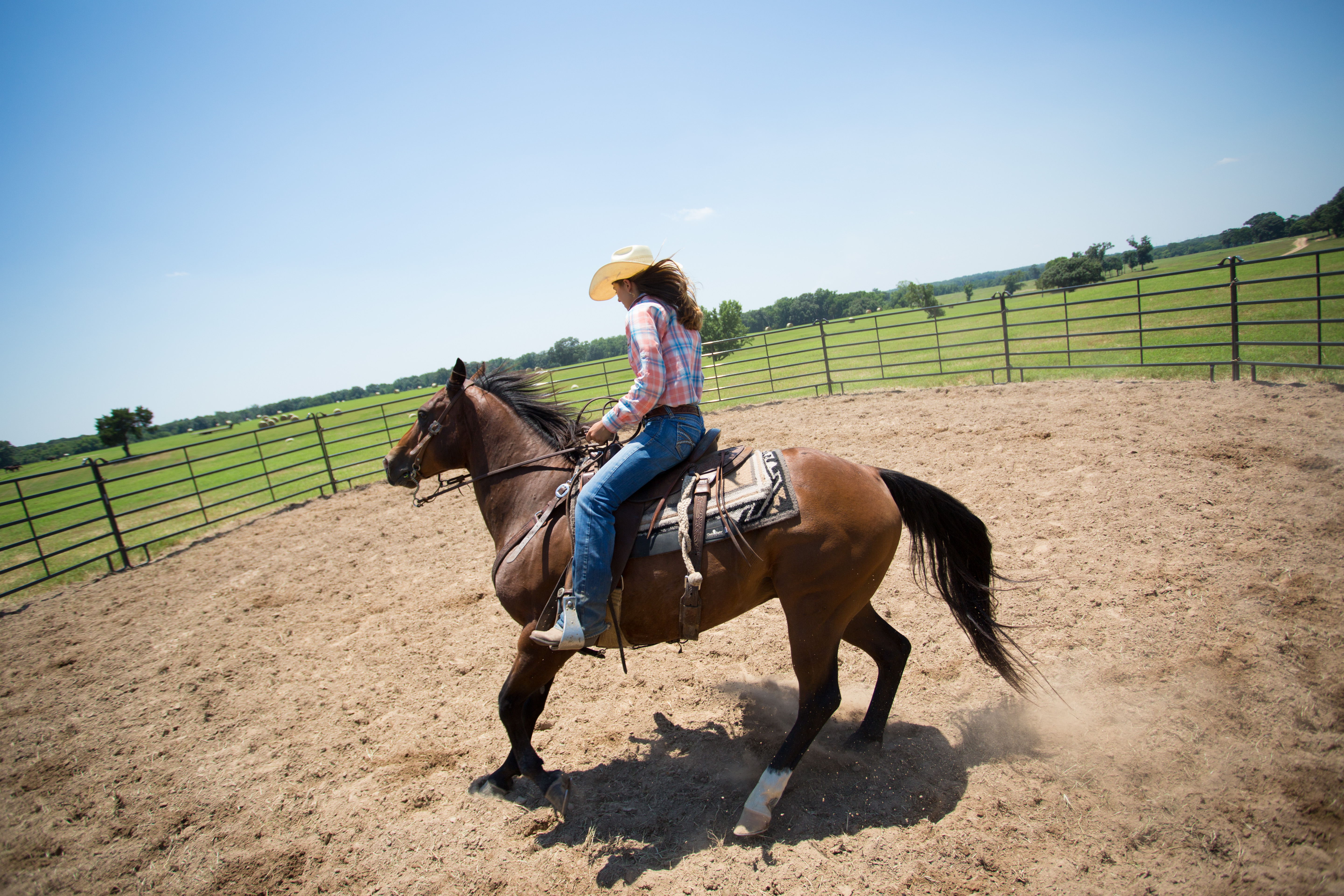 Premier Round Pen PP50 13.jpg