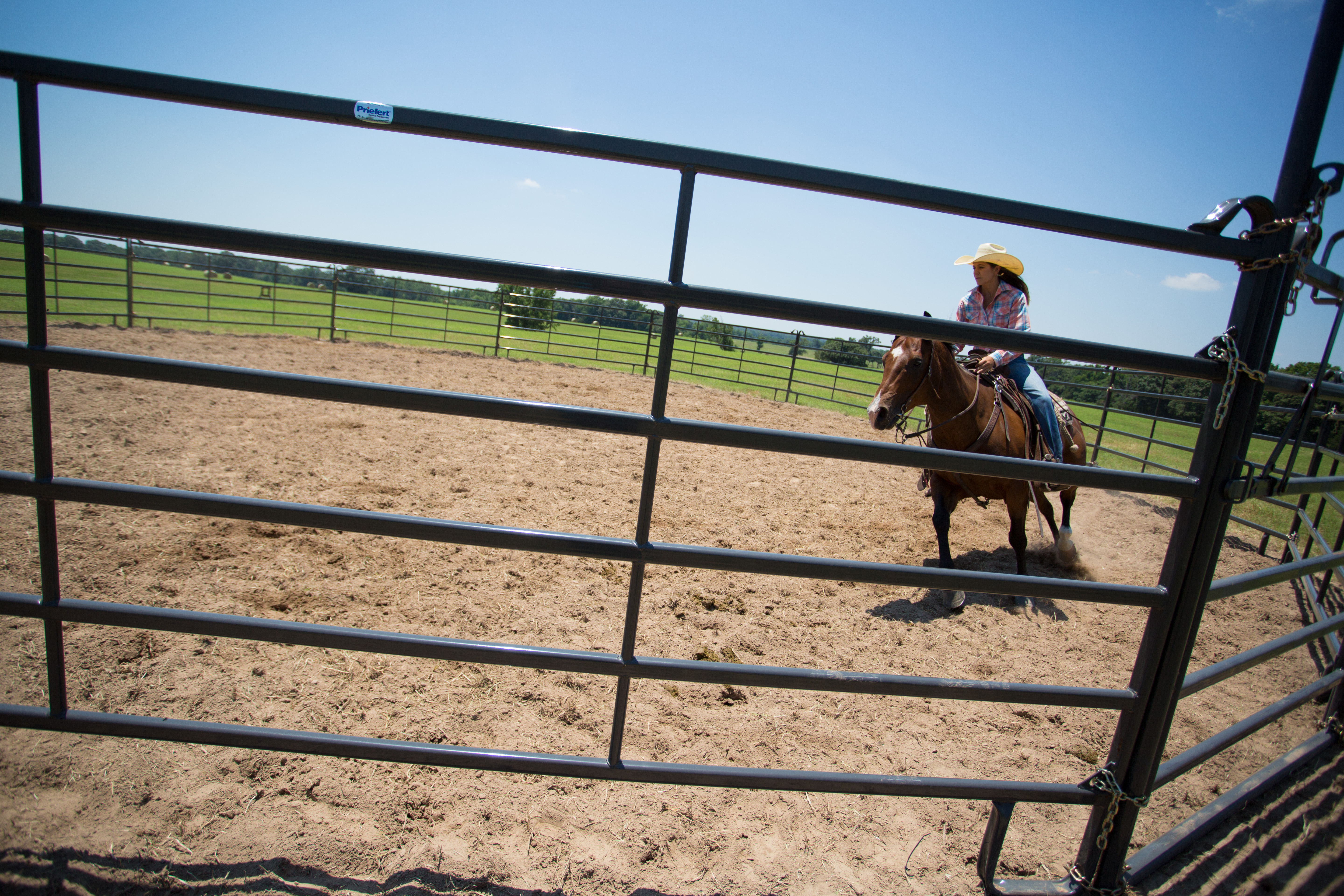 Premier Round Pen PP50 16.jpg