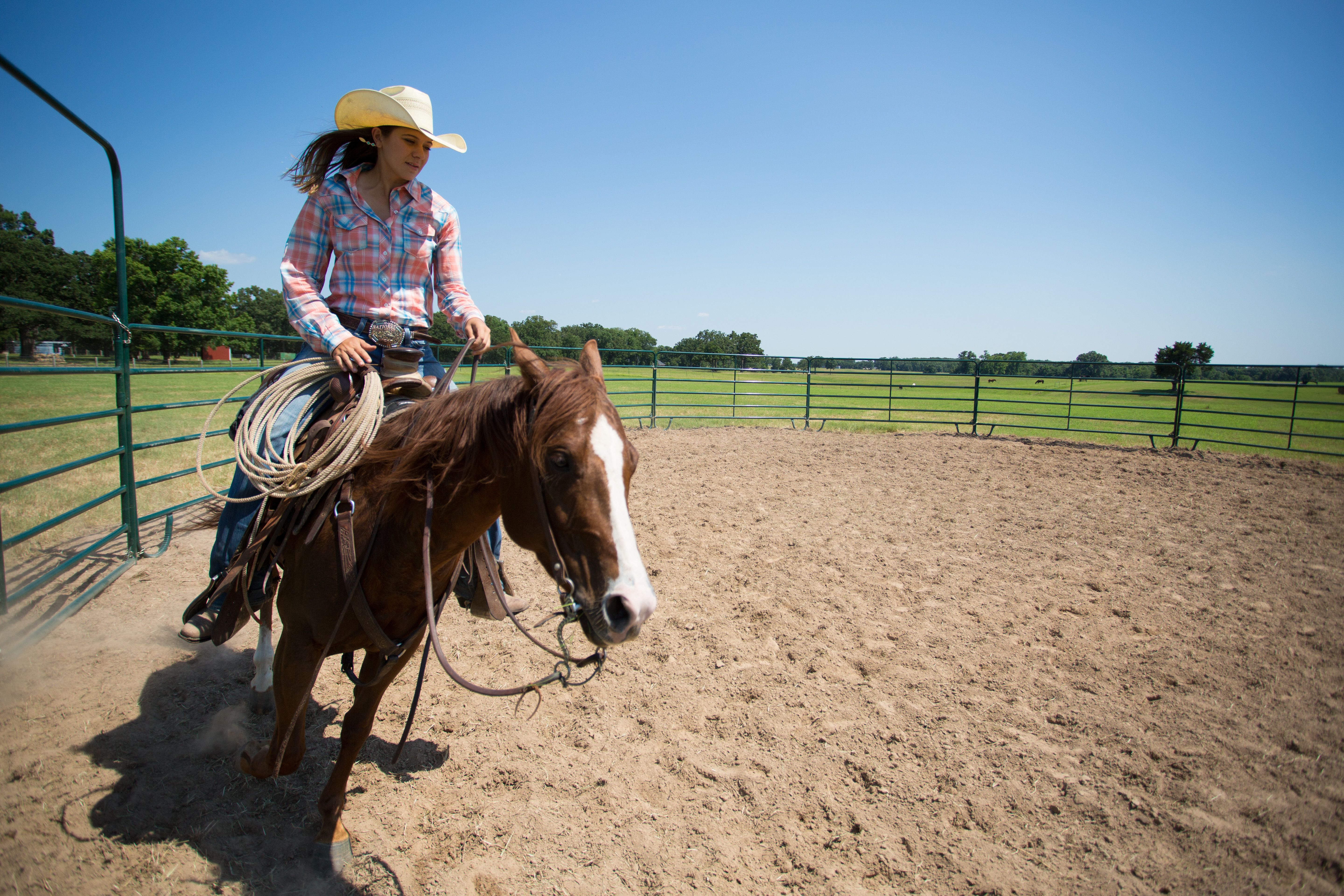 Economy Round Pen RP50 32.jpg